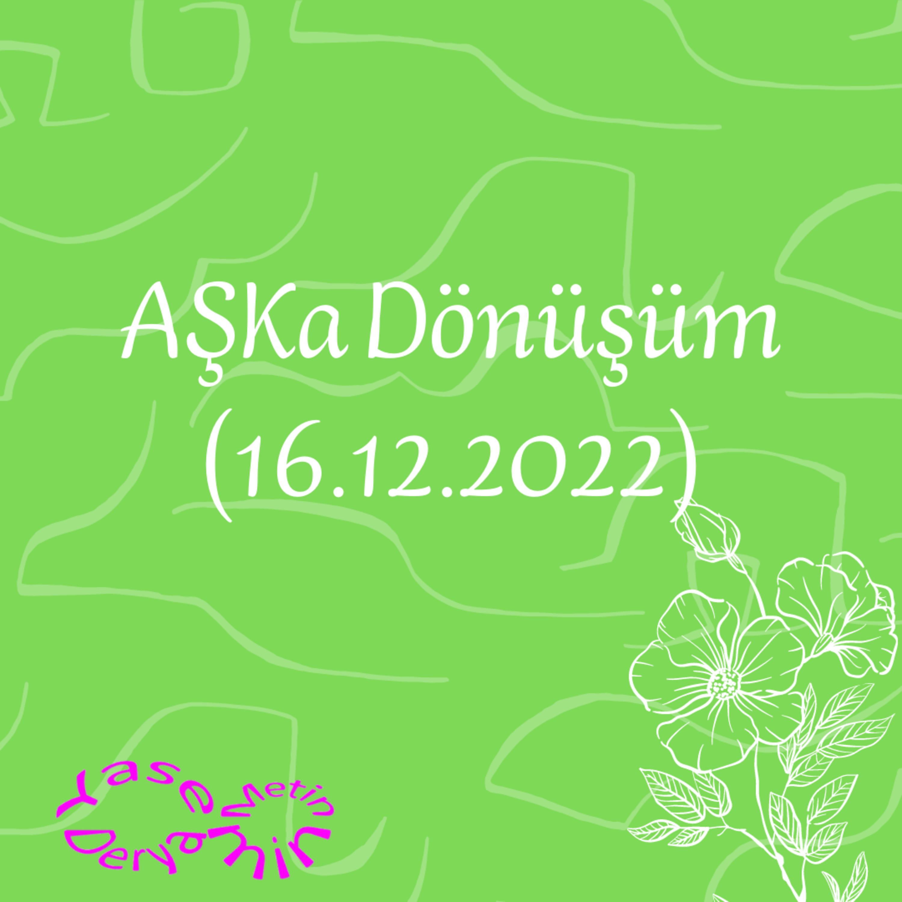 Yasemin Derya Metin