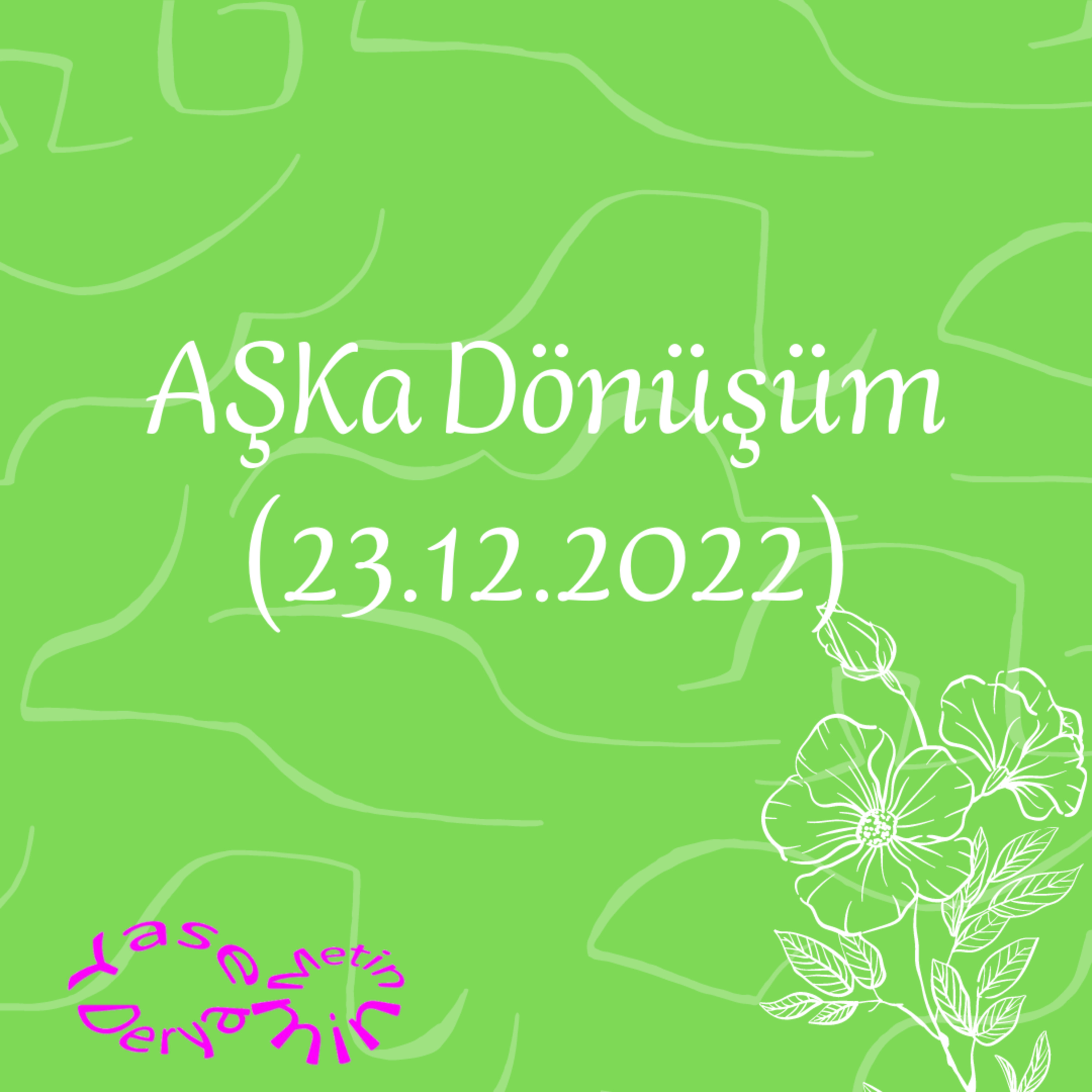 Yasemin Derya Metin