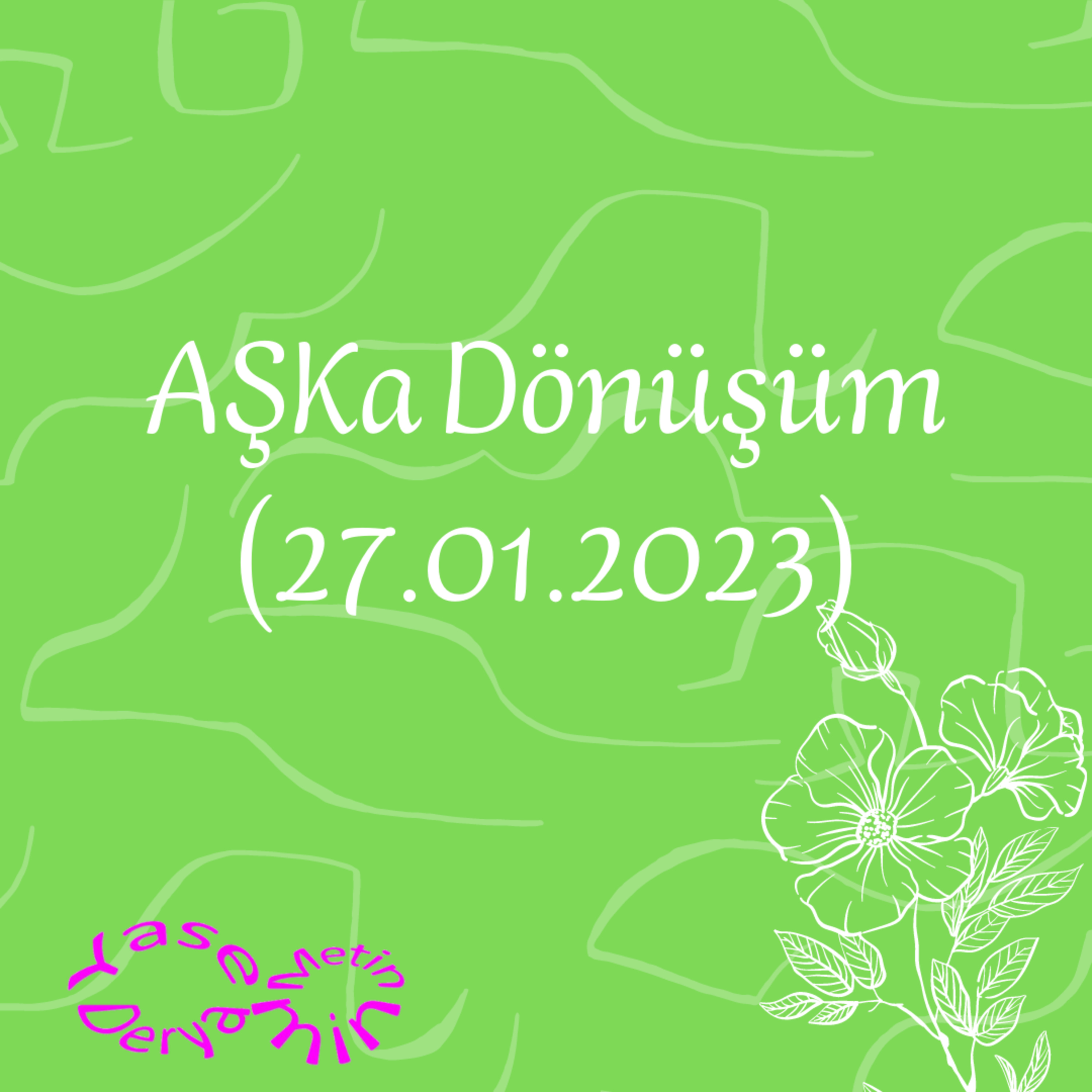 Yasemin Derya Metin
