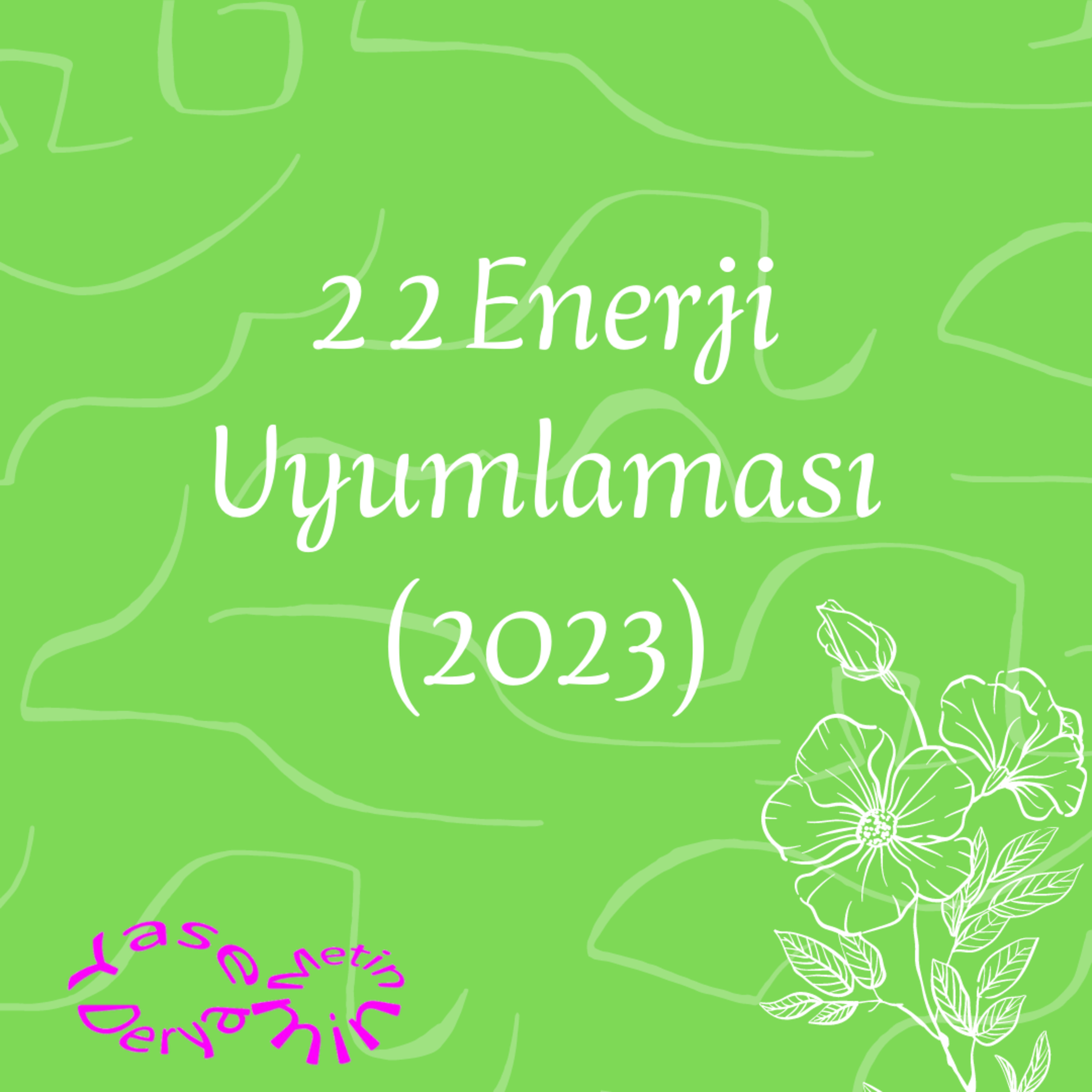 Yasemin Derya Metin