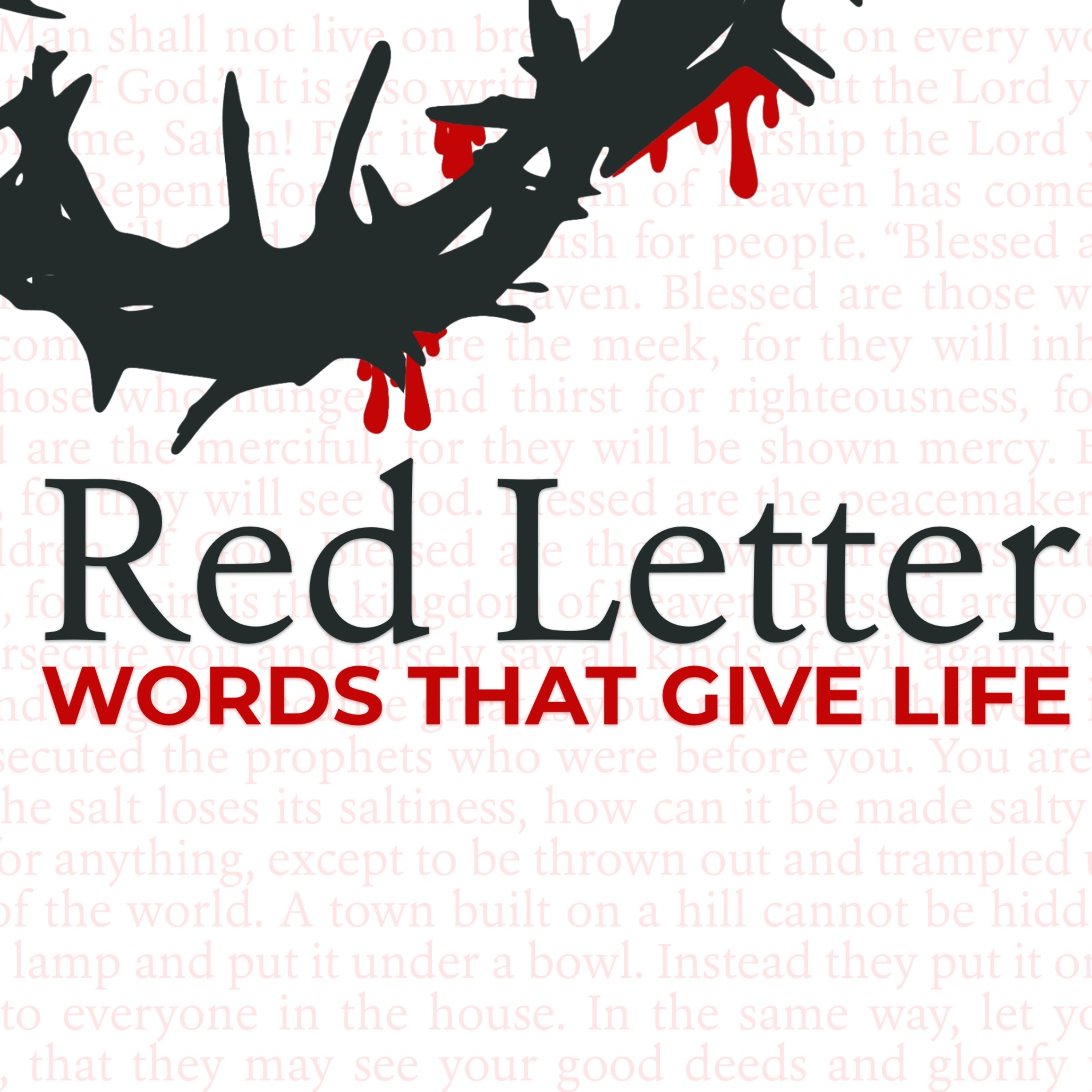 Red Letter: Words that Give Life — Talk 2 — The Beatitudes  episode artwork