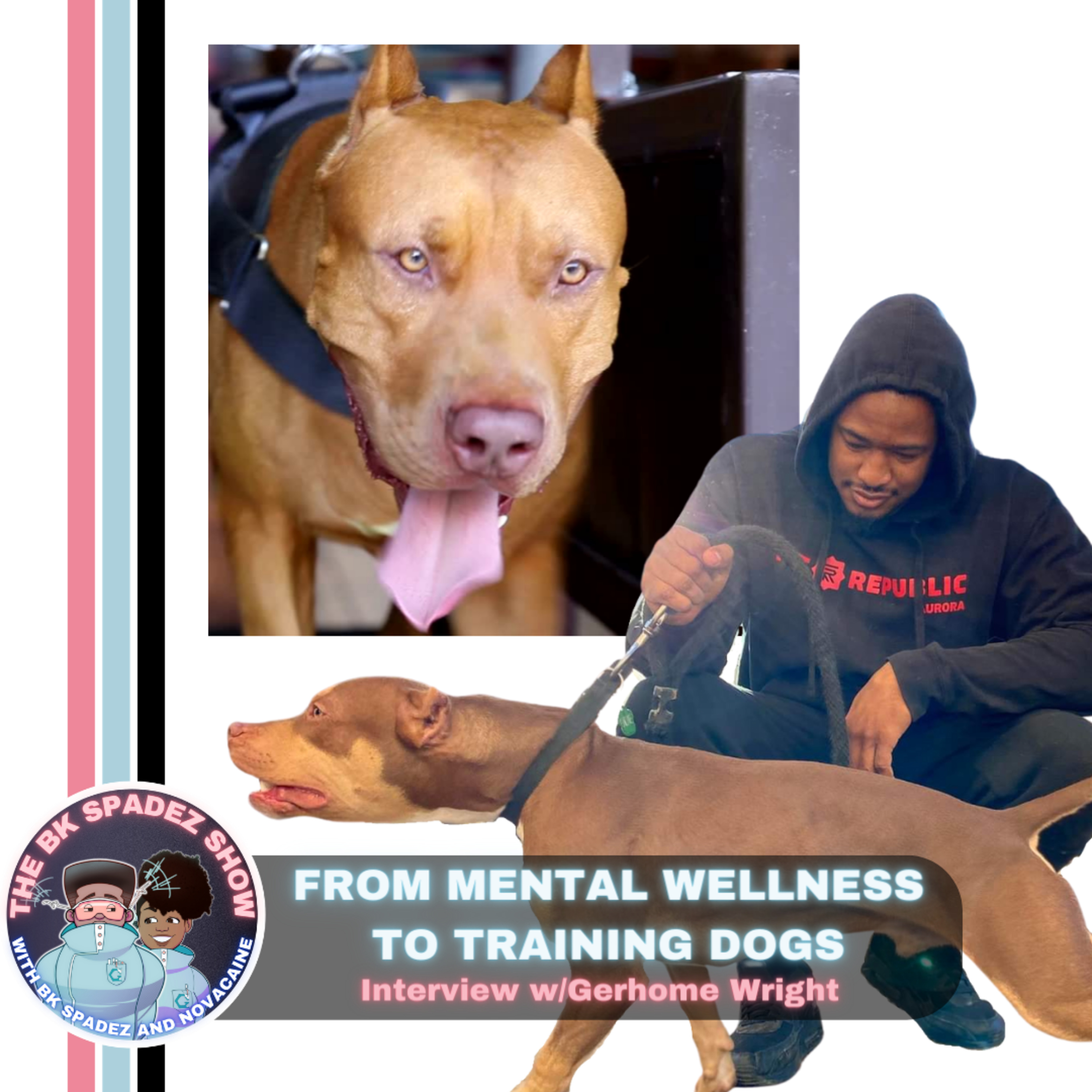 From Mental Wellness to Training Dogs - Interview w/Gerhome Wright