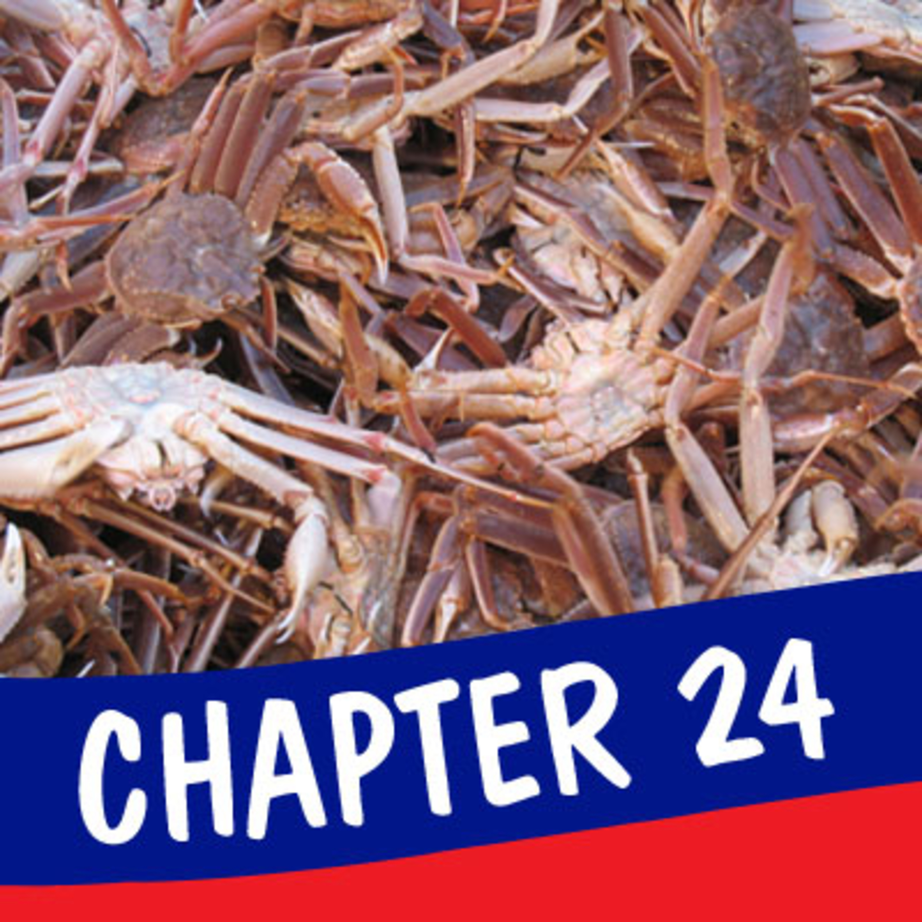 Catching A Deckload of Dreams- Chuck Bundrant and the Story of Trident Seafoods