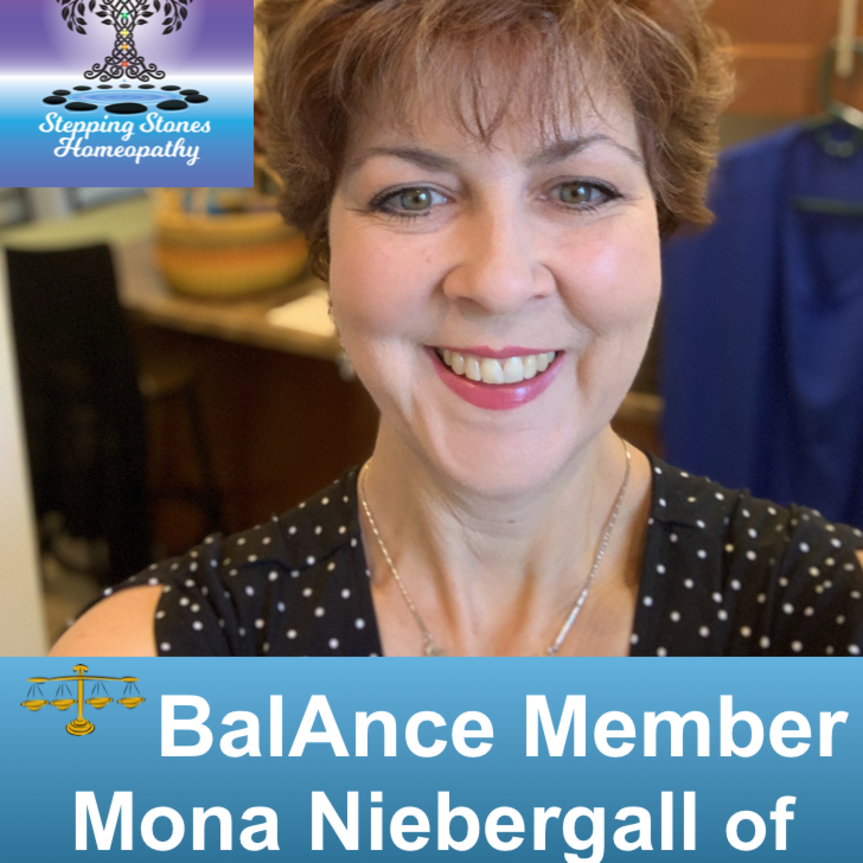 A Well-Being Experience with Mona Niebergall of Stepping Stones Homeopathy episode artwork
