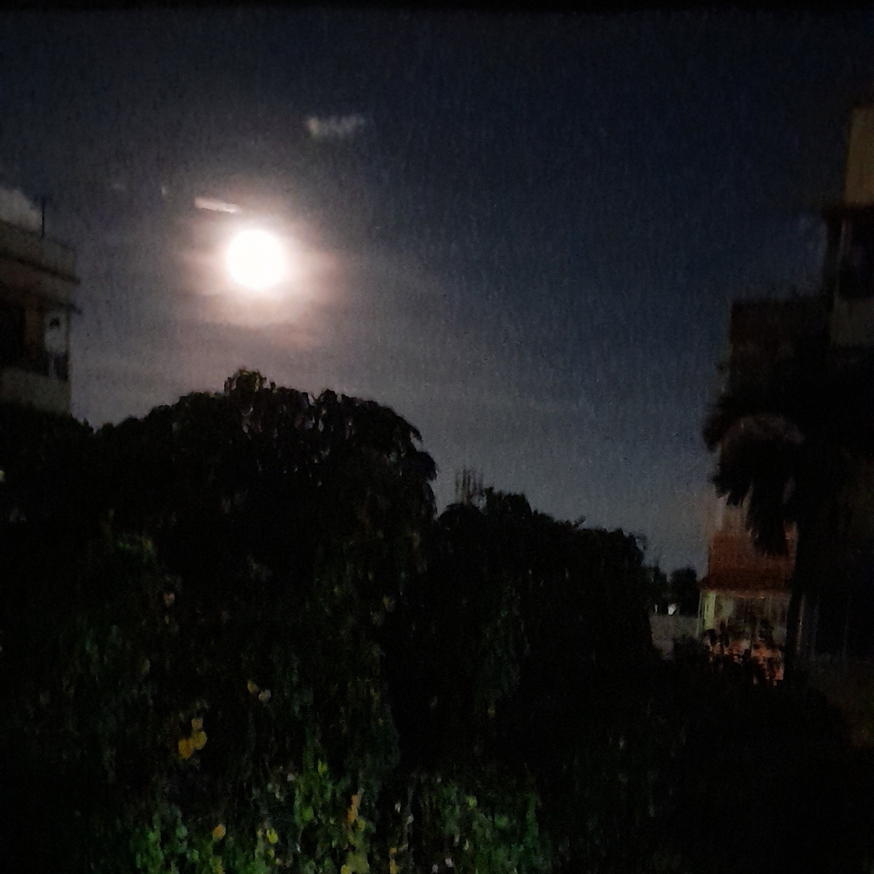 Sangeetey Sangeeta;Songe Shreyoshi-Offerings Of Music And Poetry By Mother And Daughter
