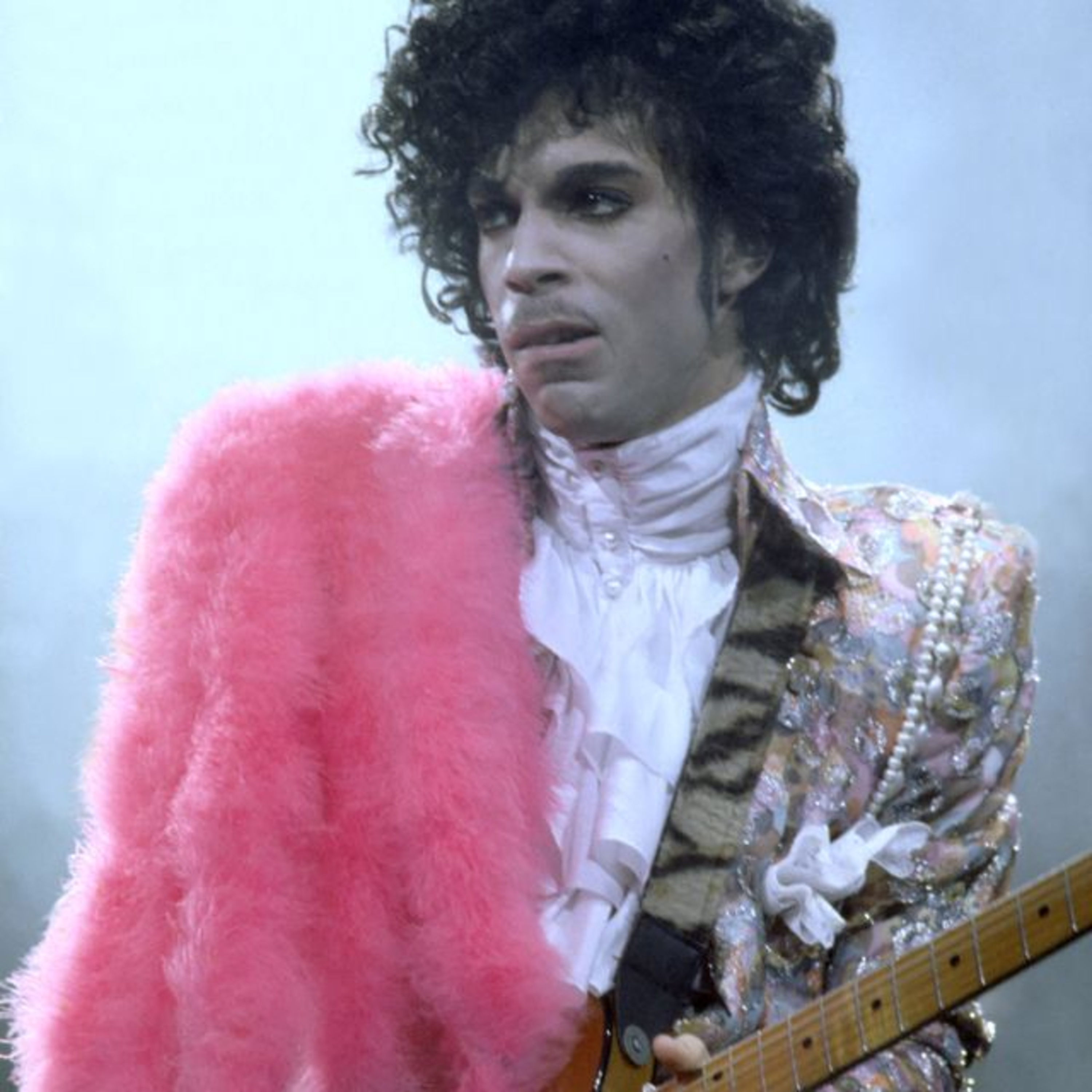 I Wore a Raspberry Beret episode artwork