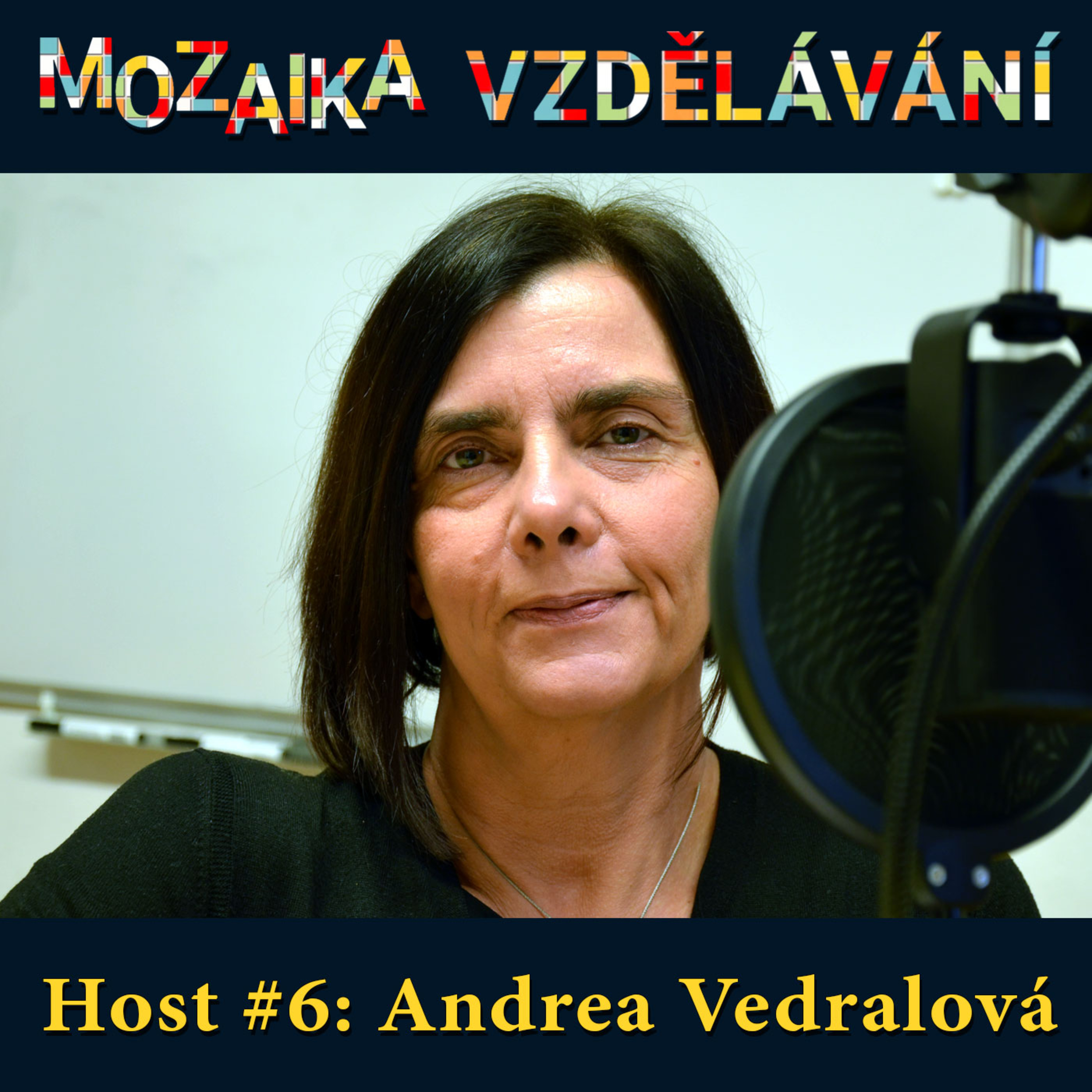 Mozaika vzdělávání