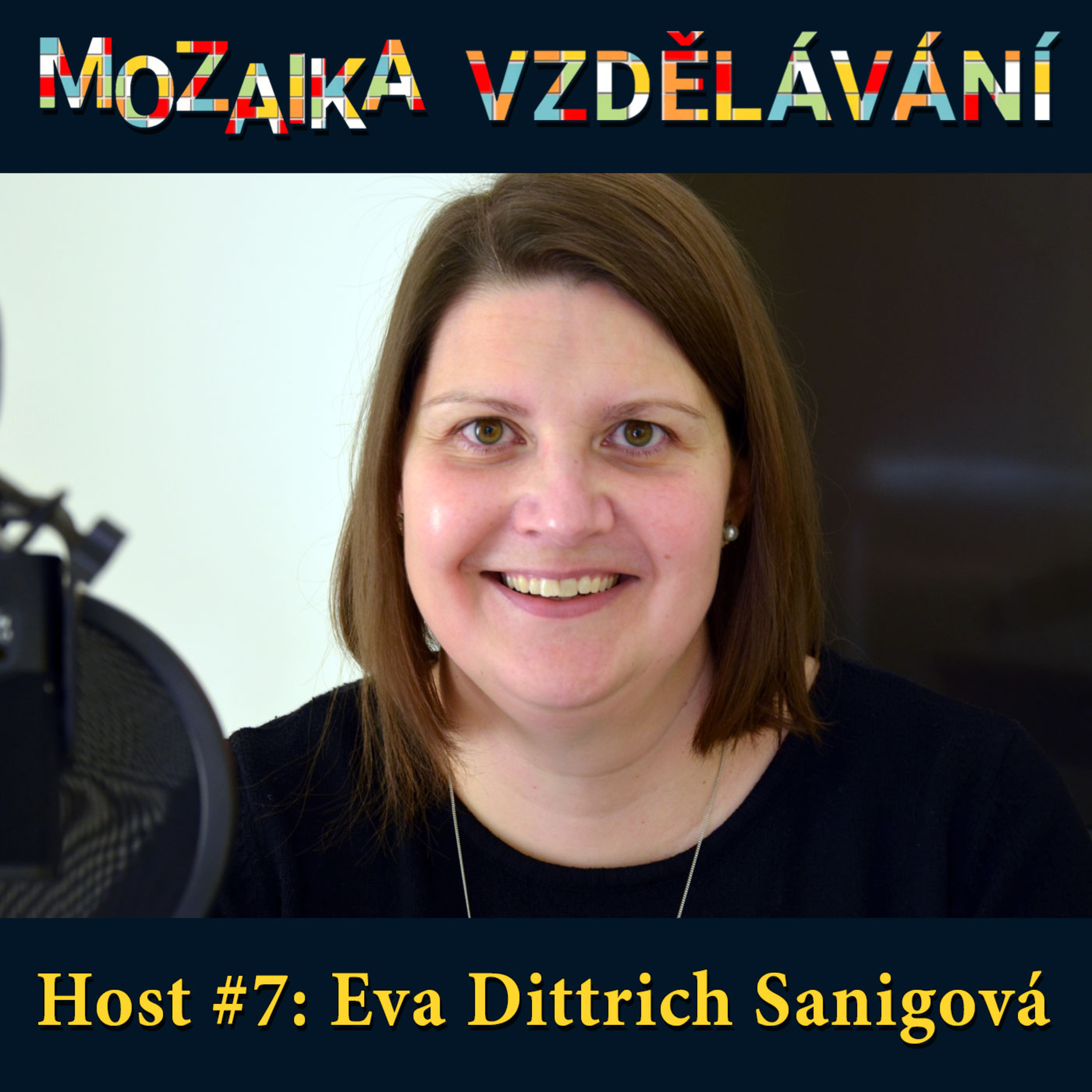 Mozaika vzdělávání