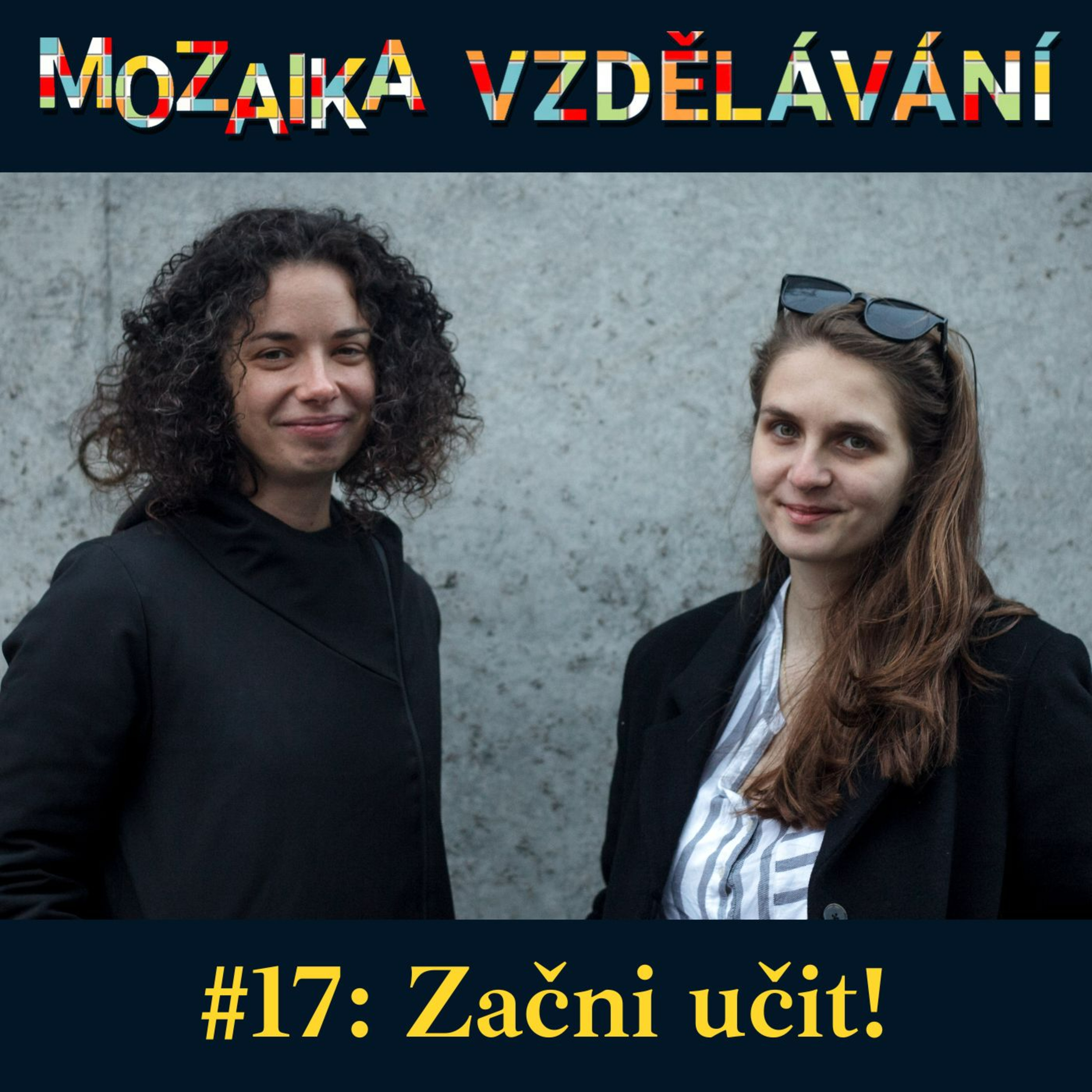 Mozaika vzdělávání