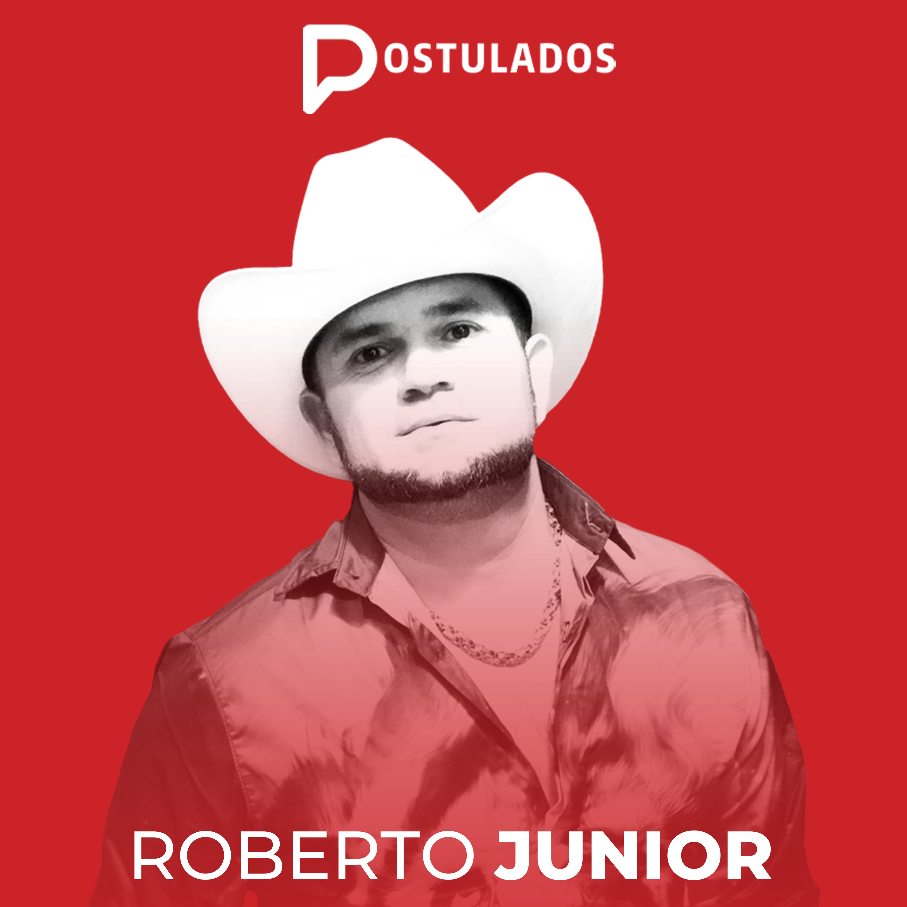 Postulados