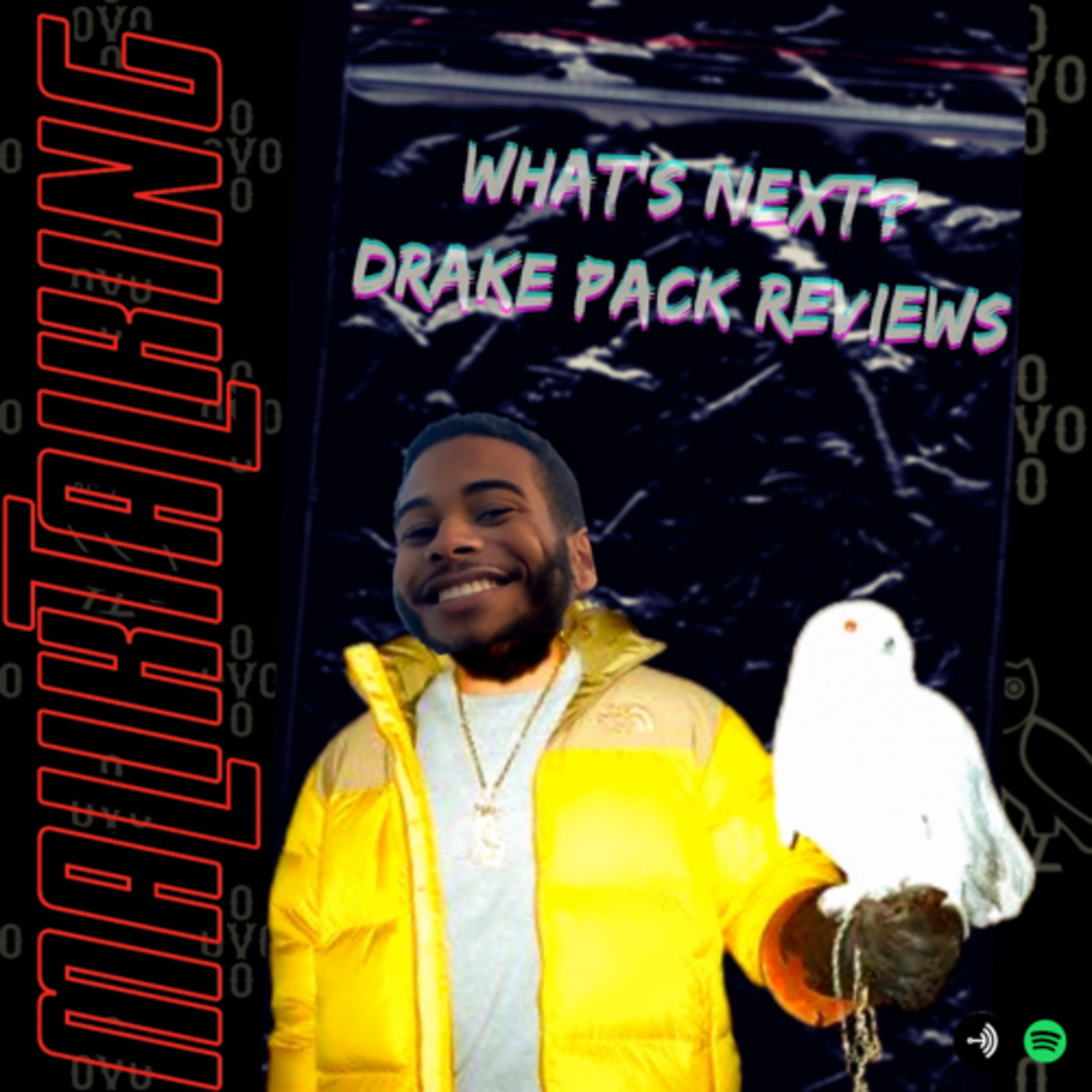 EPISODE 22- WHATS NEXT? DRAKE PACK reVIEWS episode artwork