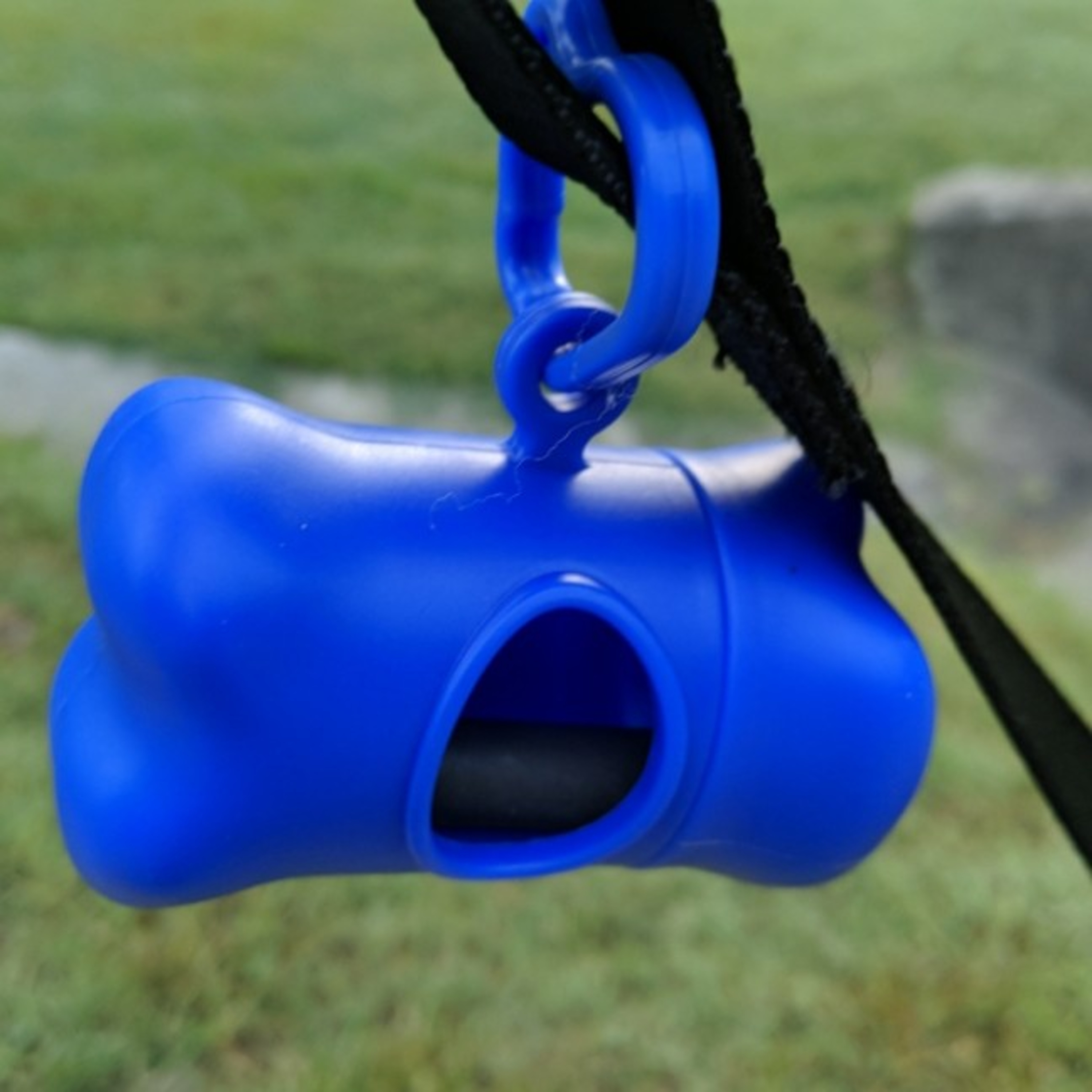 Did Fido Poop Today?