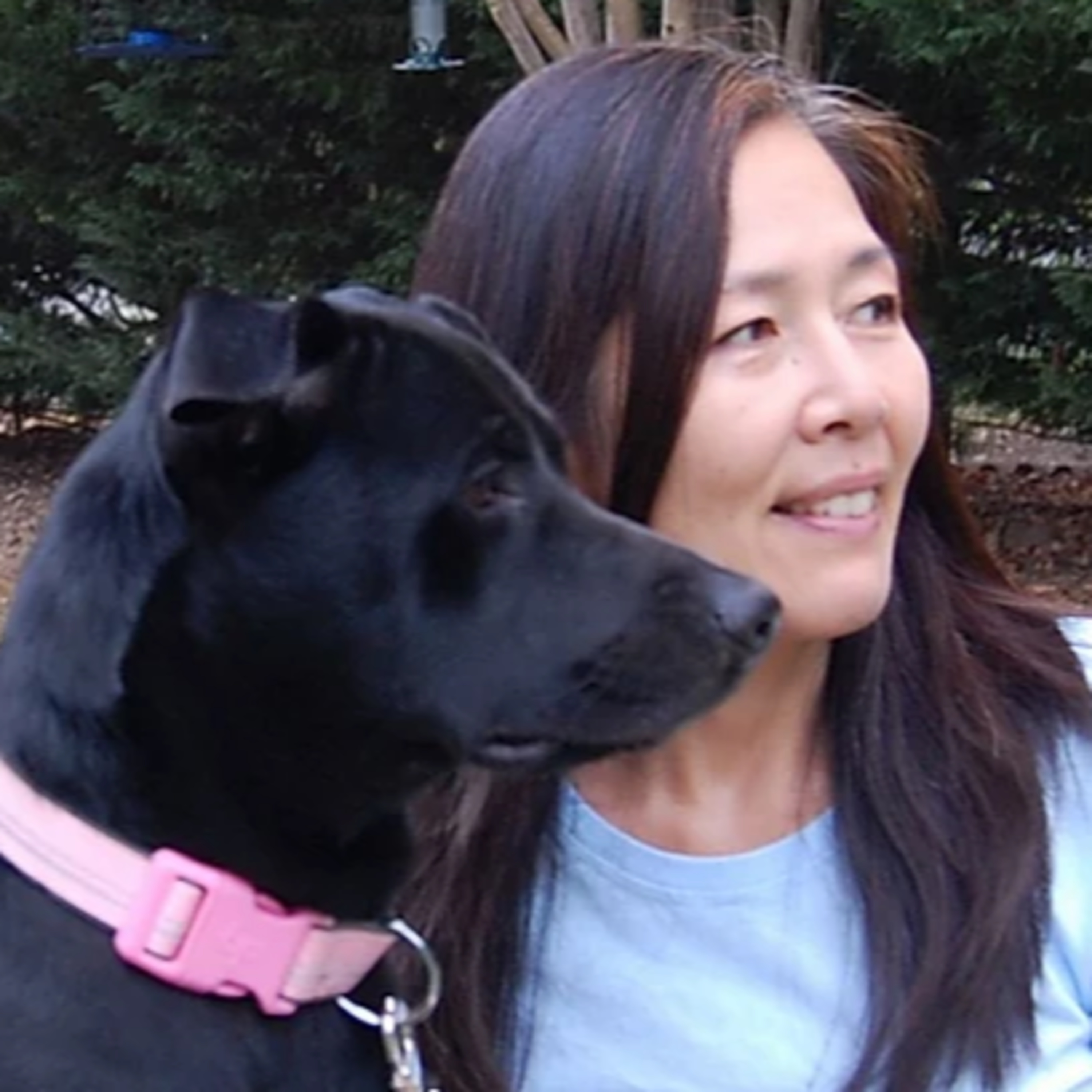 Did Fido Poop Today?