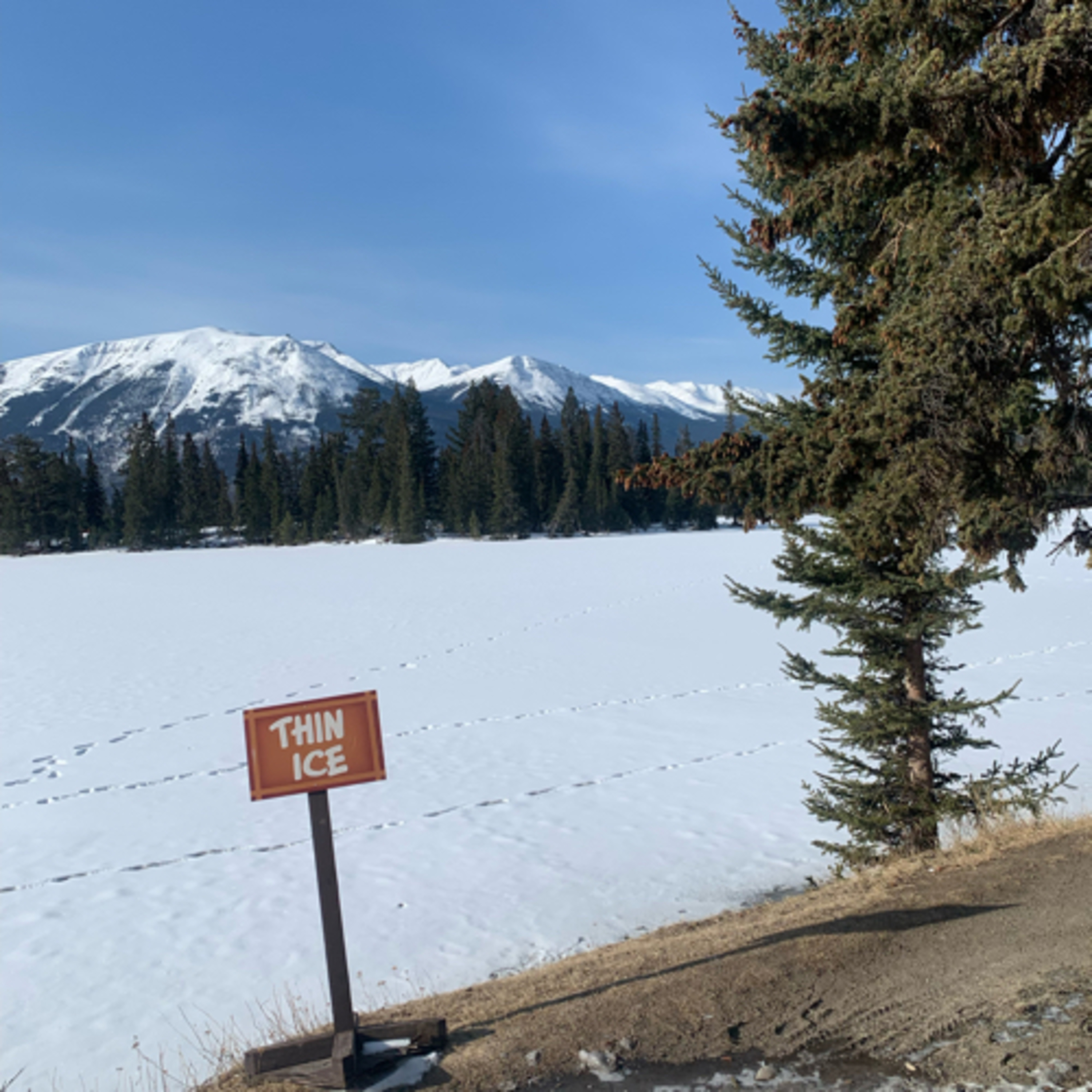 EP 151- All about Jasper, Alberta, Canada. episode artwork