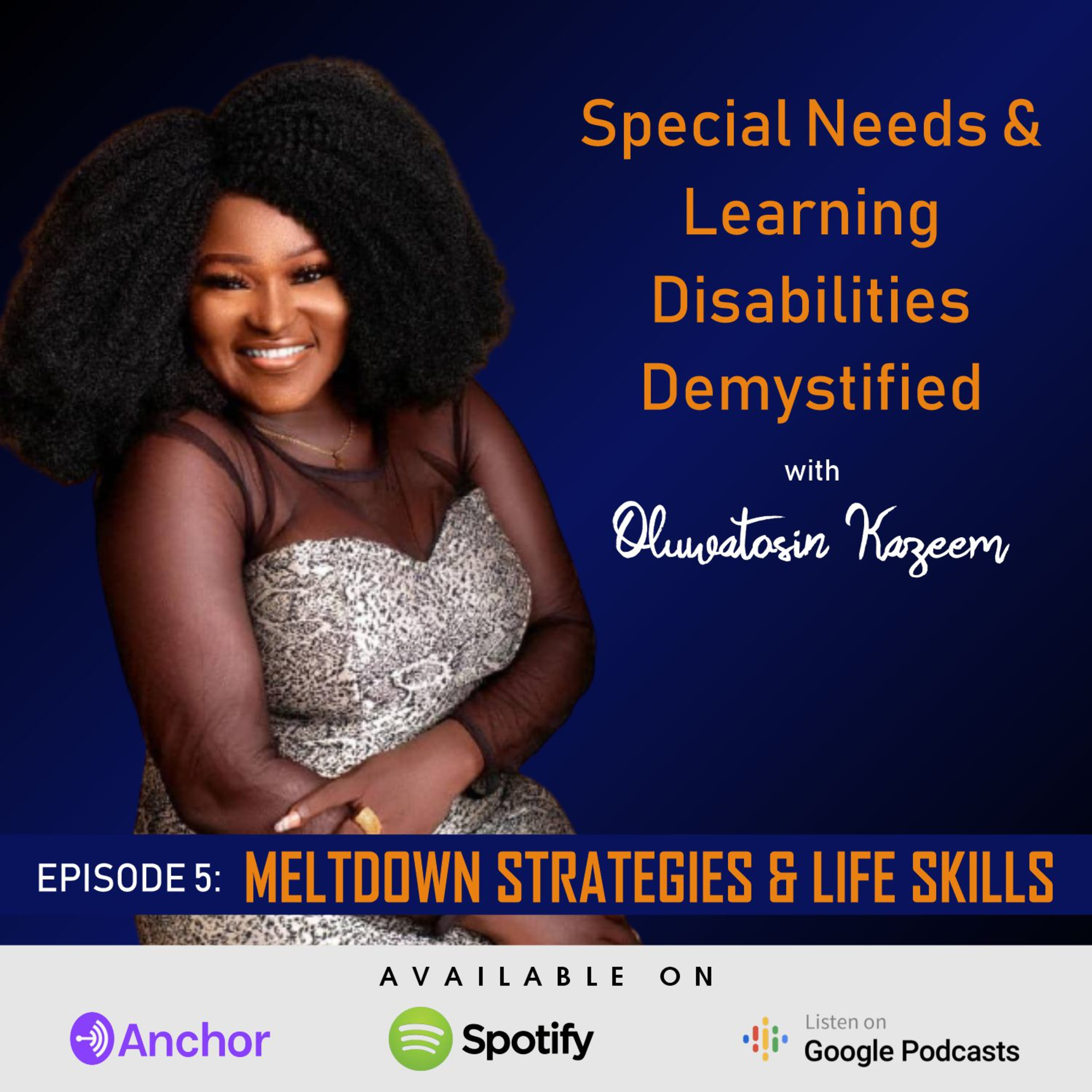 SNALD EPISODE 5: MELTDOWN STRATEGIES episode artwork