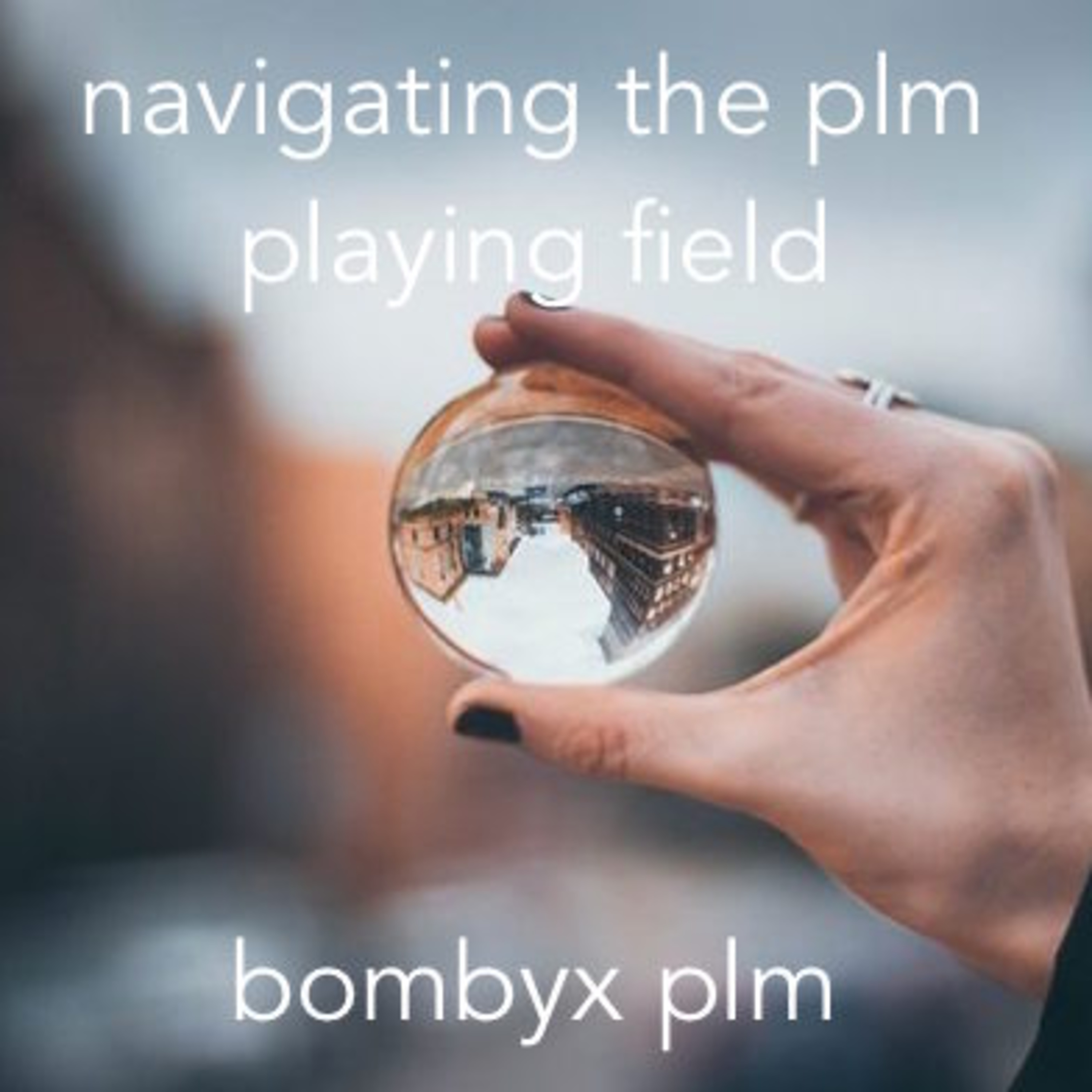 Bombyx PLM