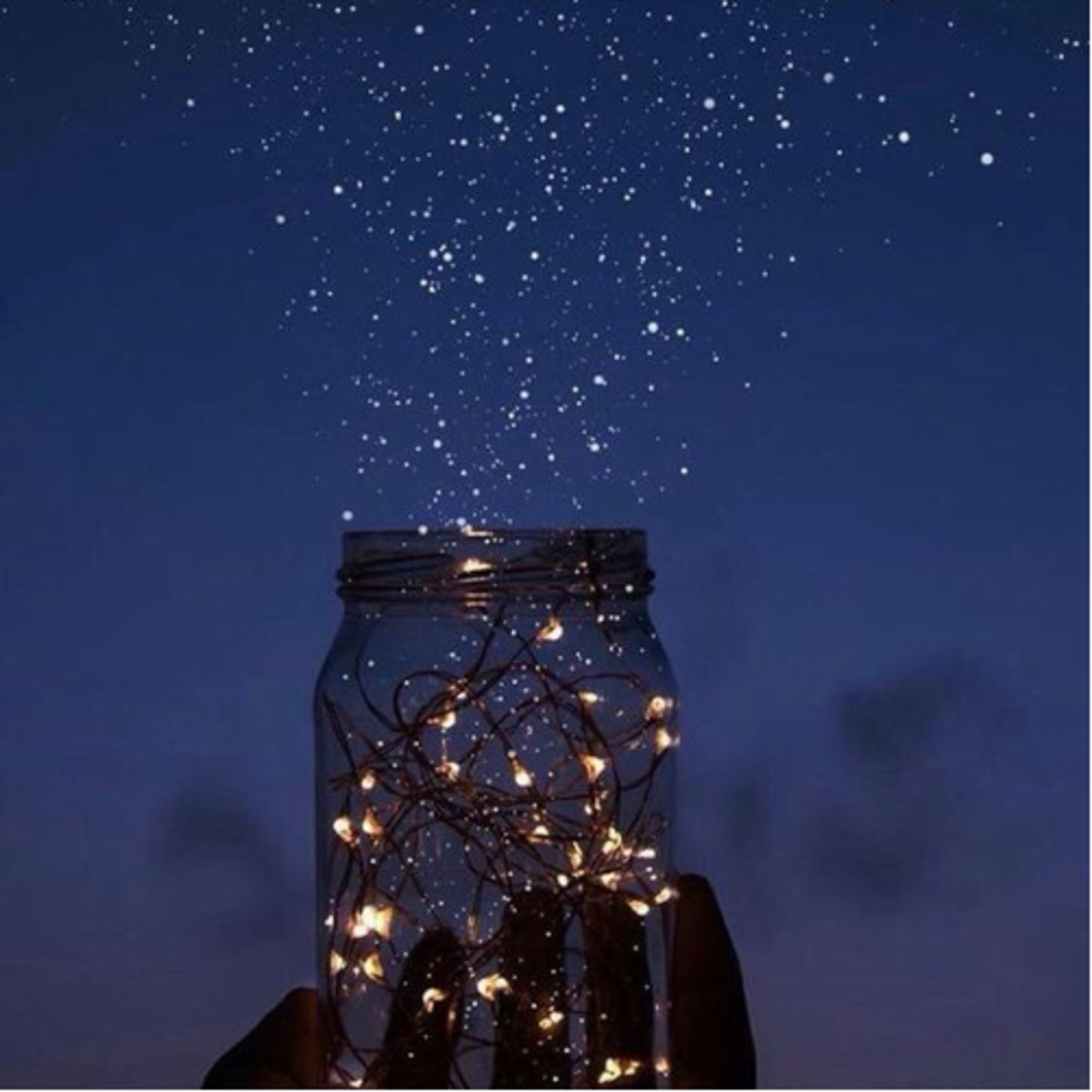 Dispatch No. 1 : Happy, Healthy But There’s a Catch