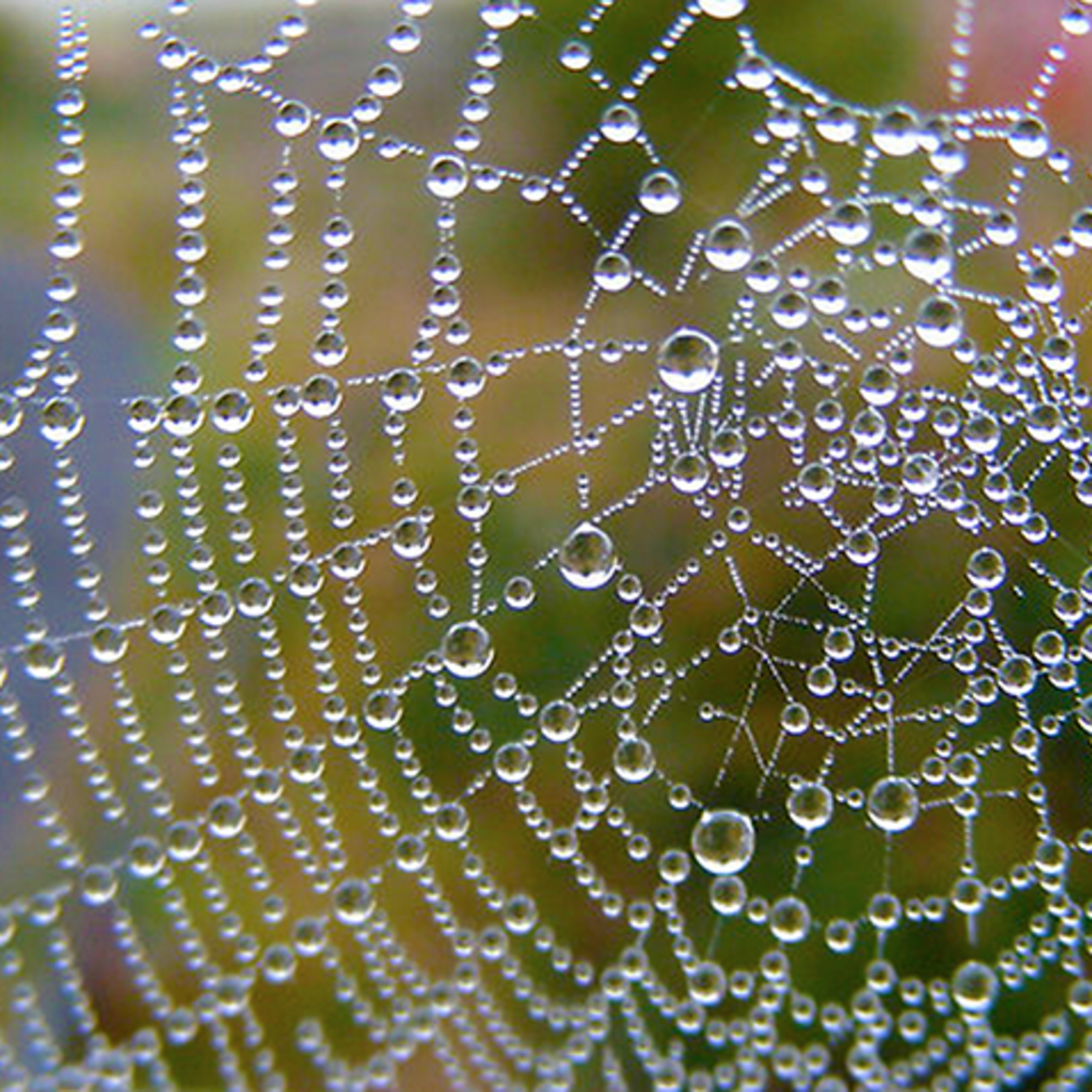 A Brief Chat with Jason Crane