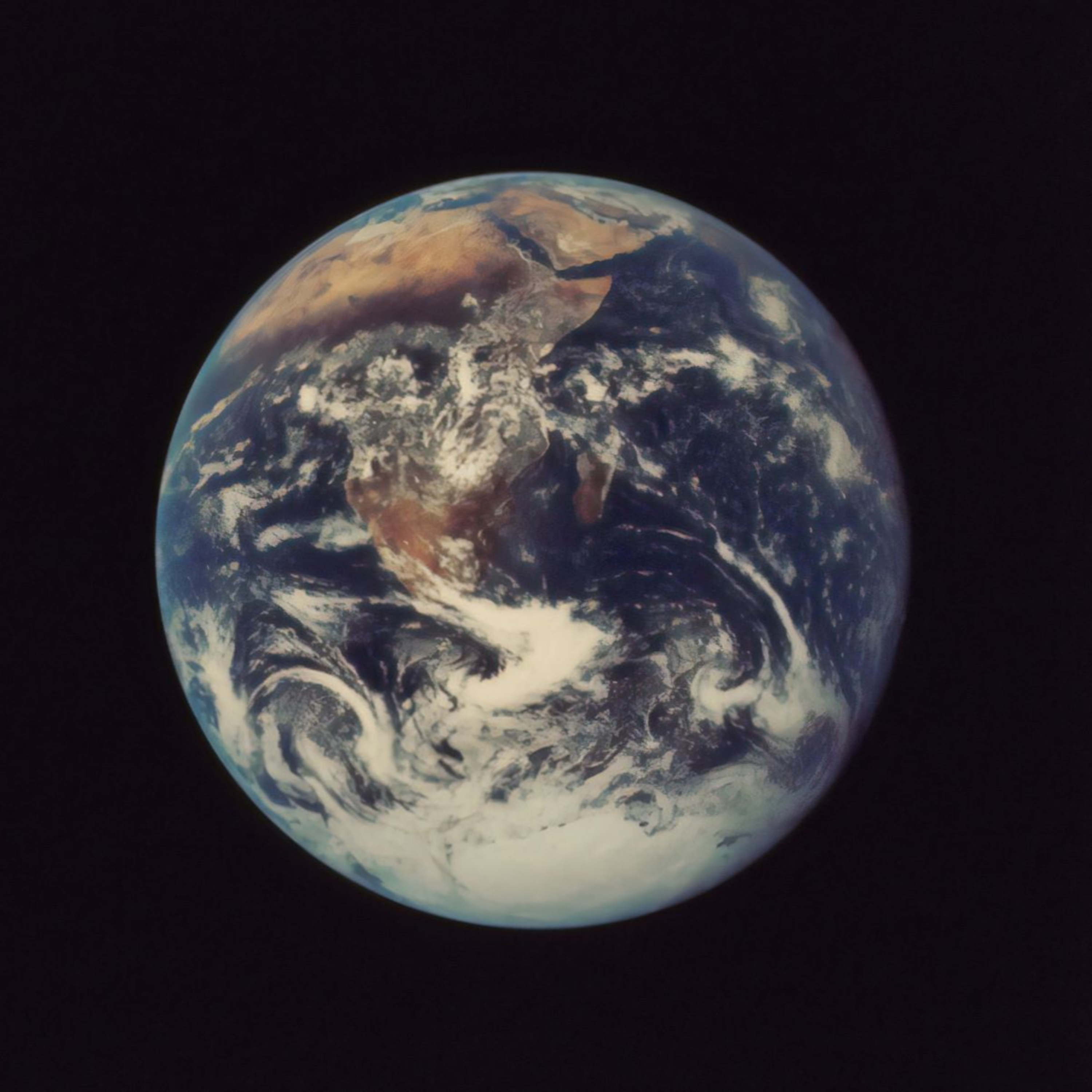 COVID-19 and the Global Society episode artwork
