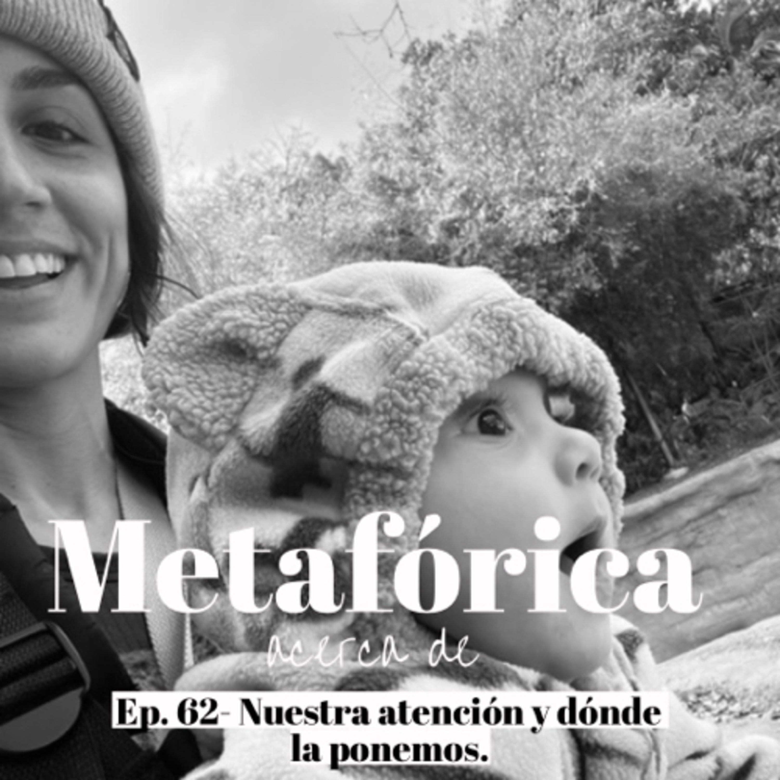 Metaforica