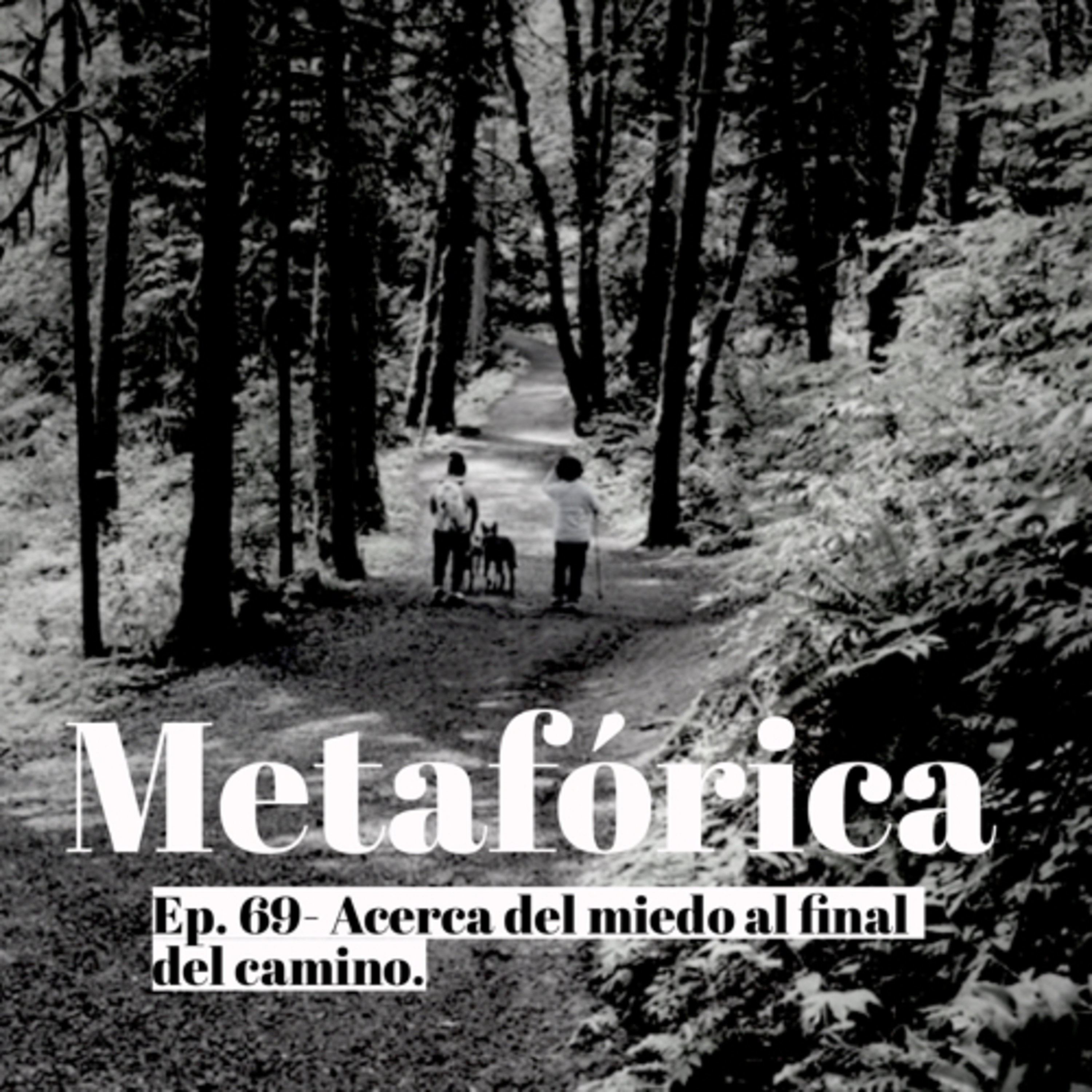Metaforica