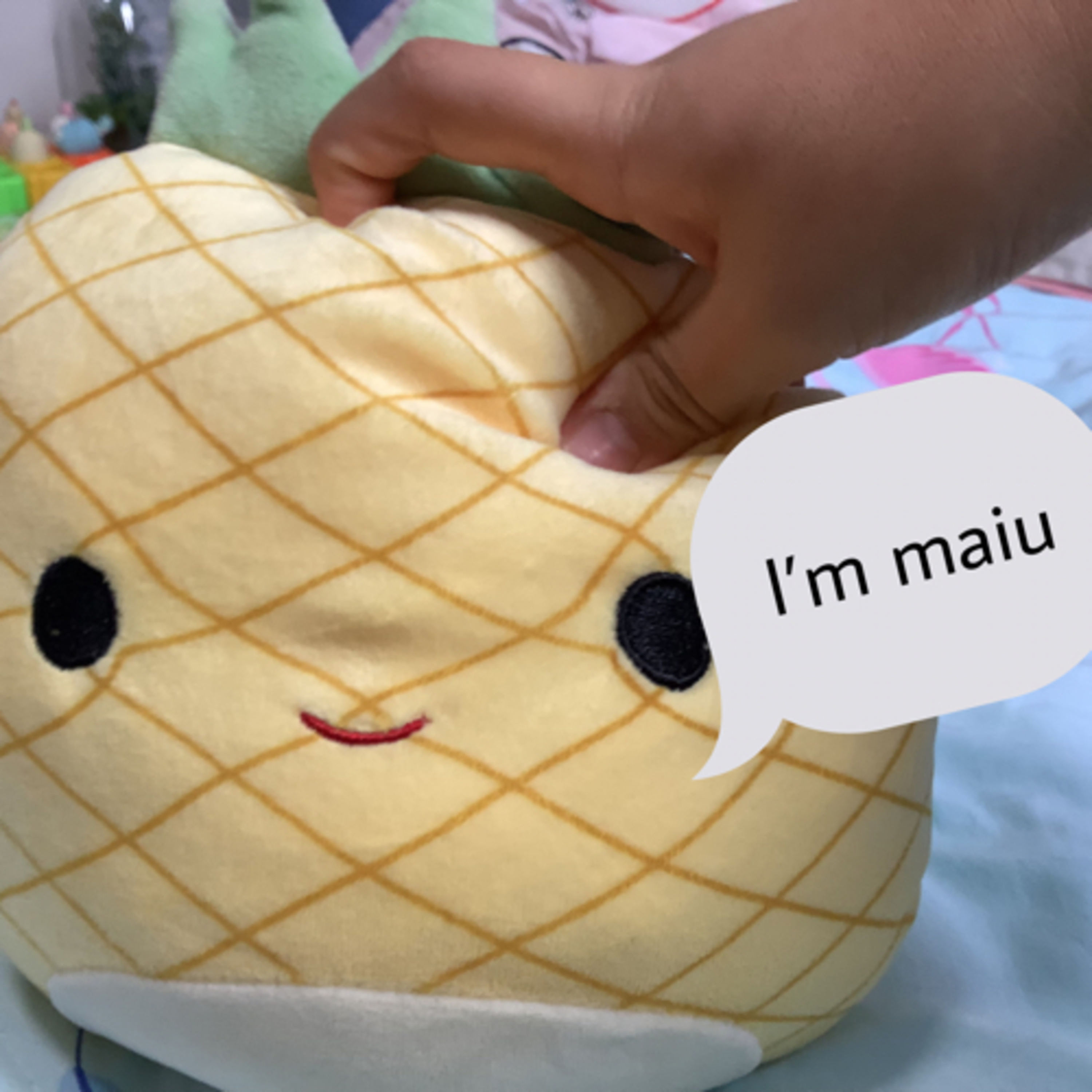 Intervening Squishmallows episode artwork