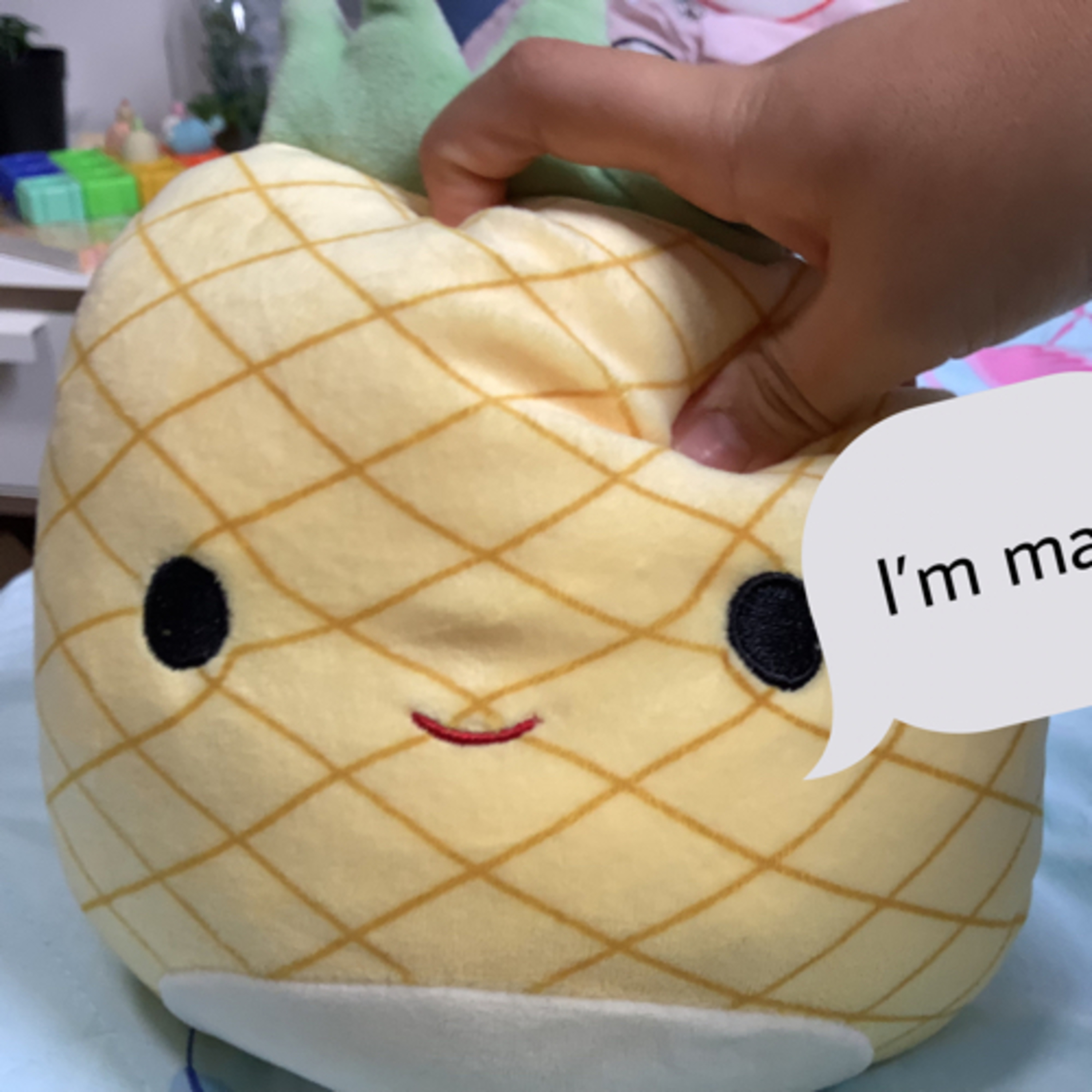 Interviewing the squishmallows !  episode artwork