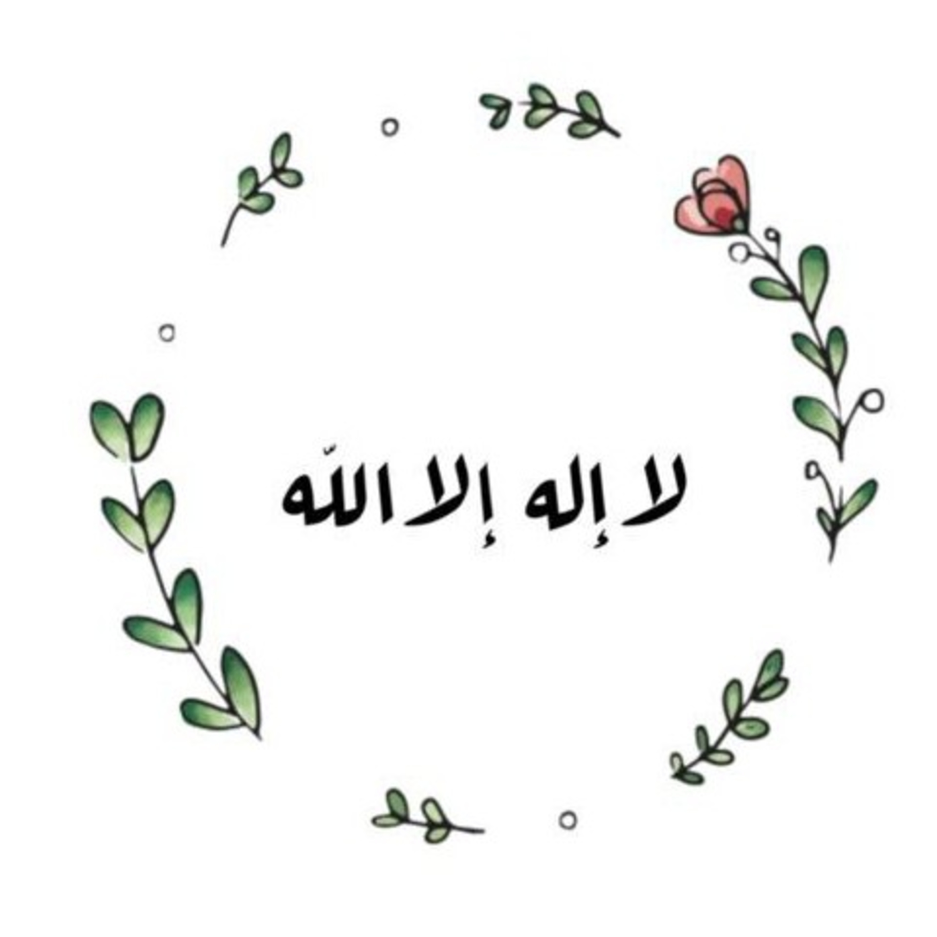 بودكاستي جزائري