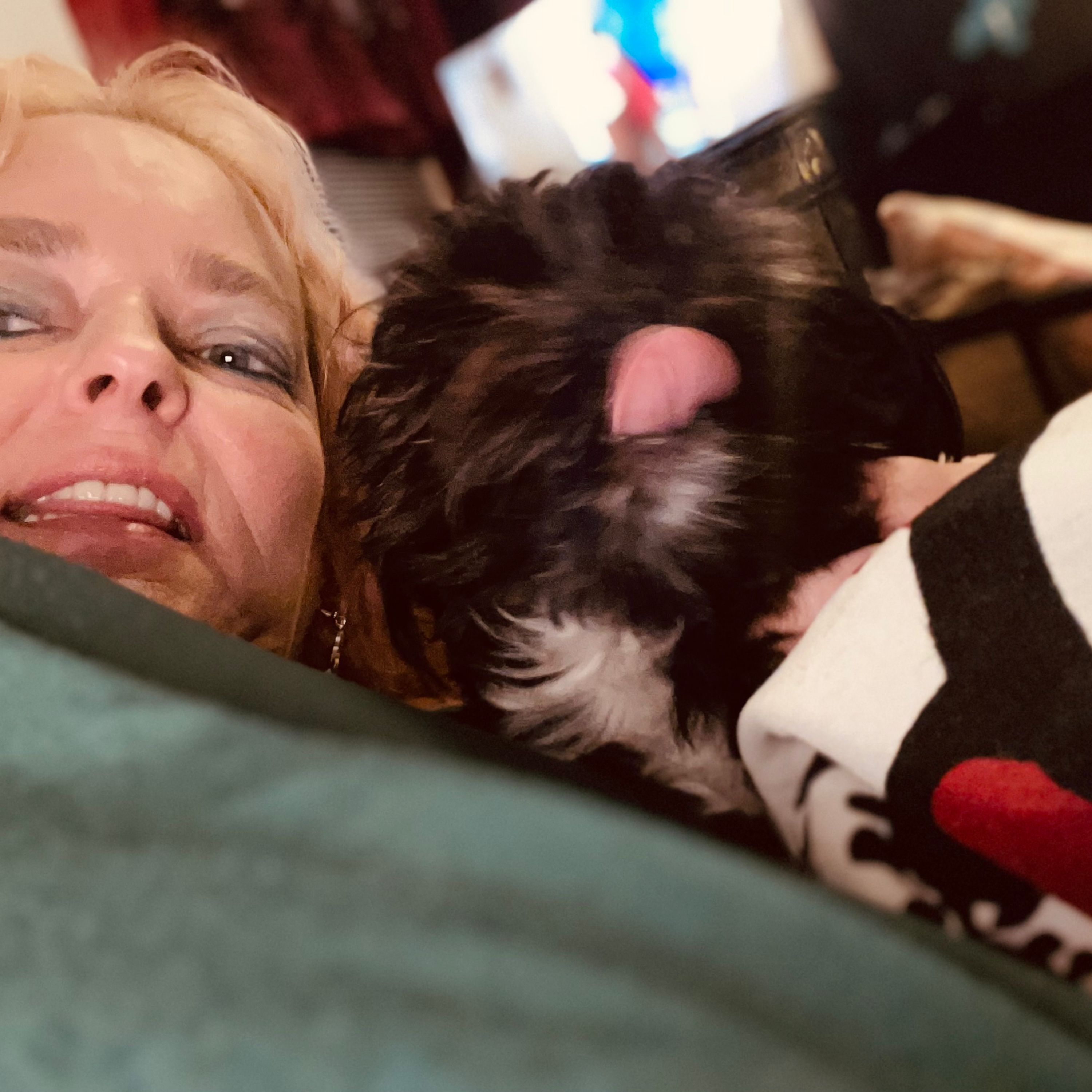 Zeus Designs by ET Studios