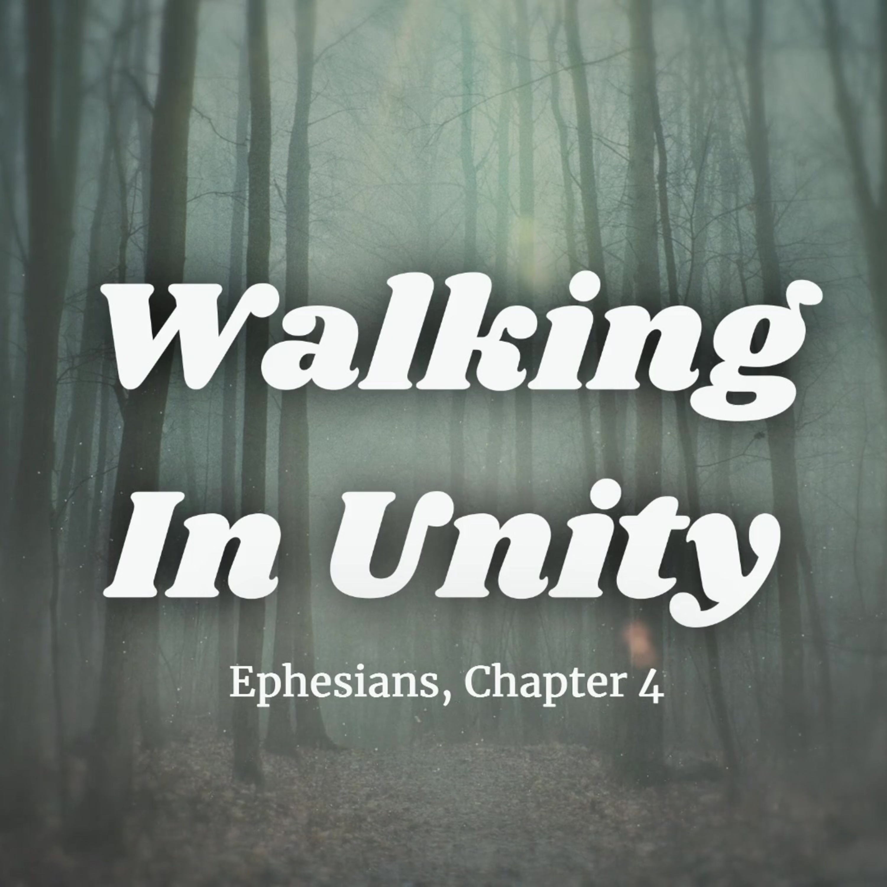 Walking In Unity episode artwork