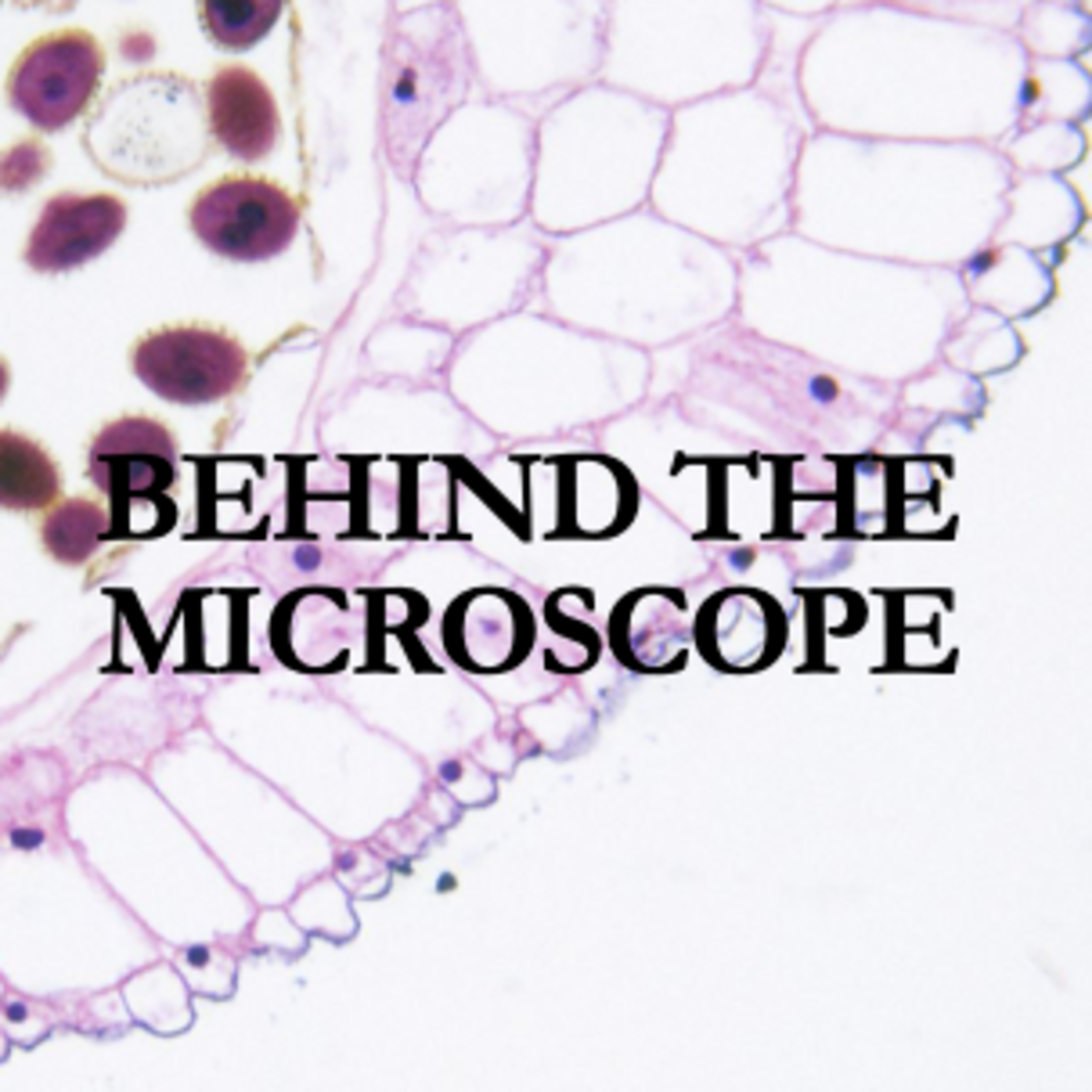 Behind The Microscope: Trailer