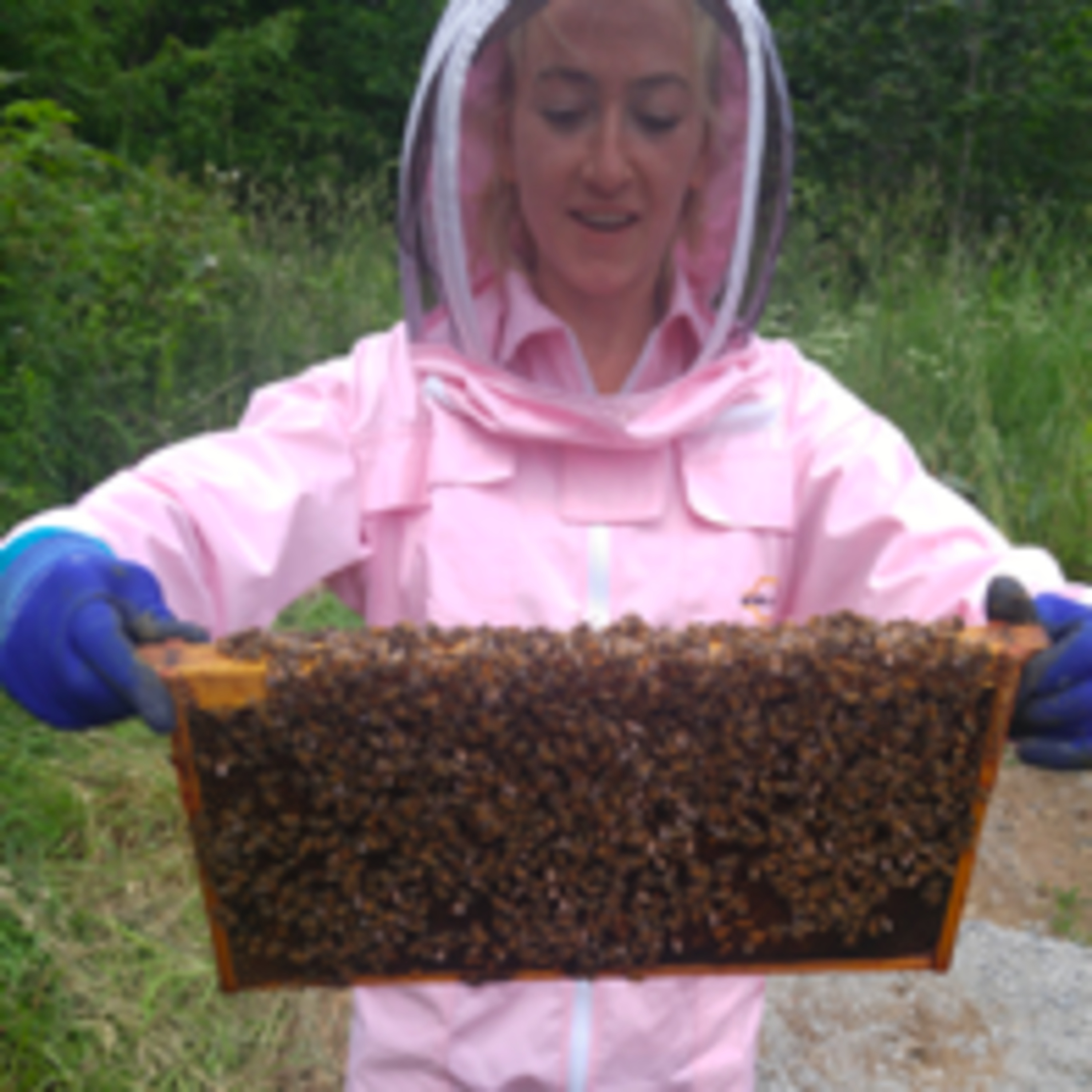 Episode 1: Busy Bee
