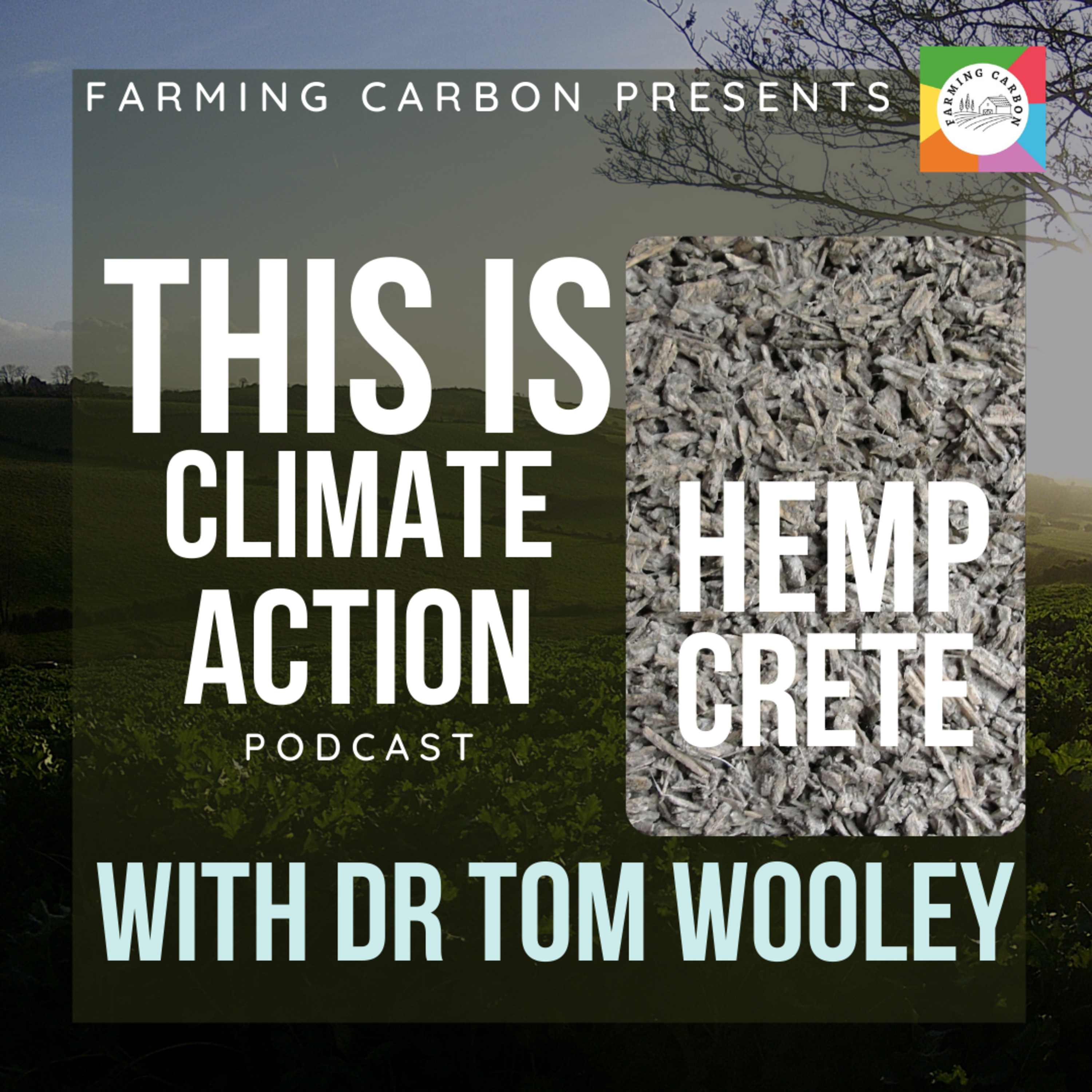 This Is Climate Action