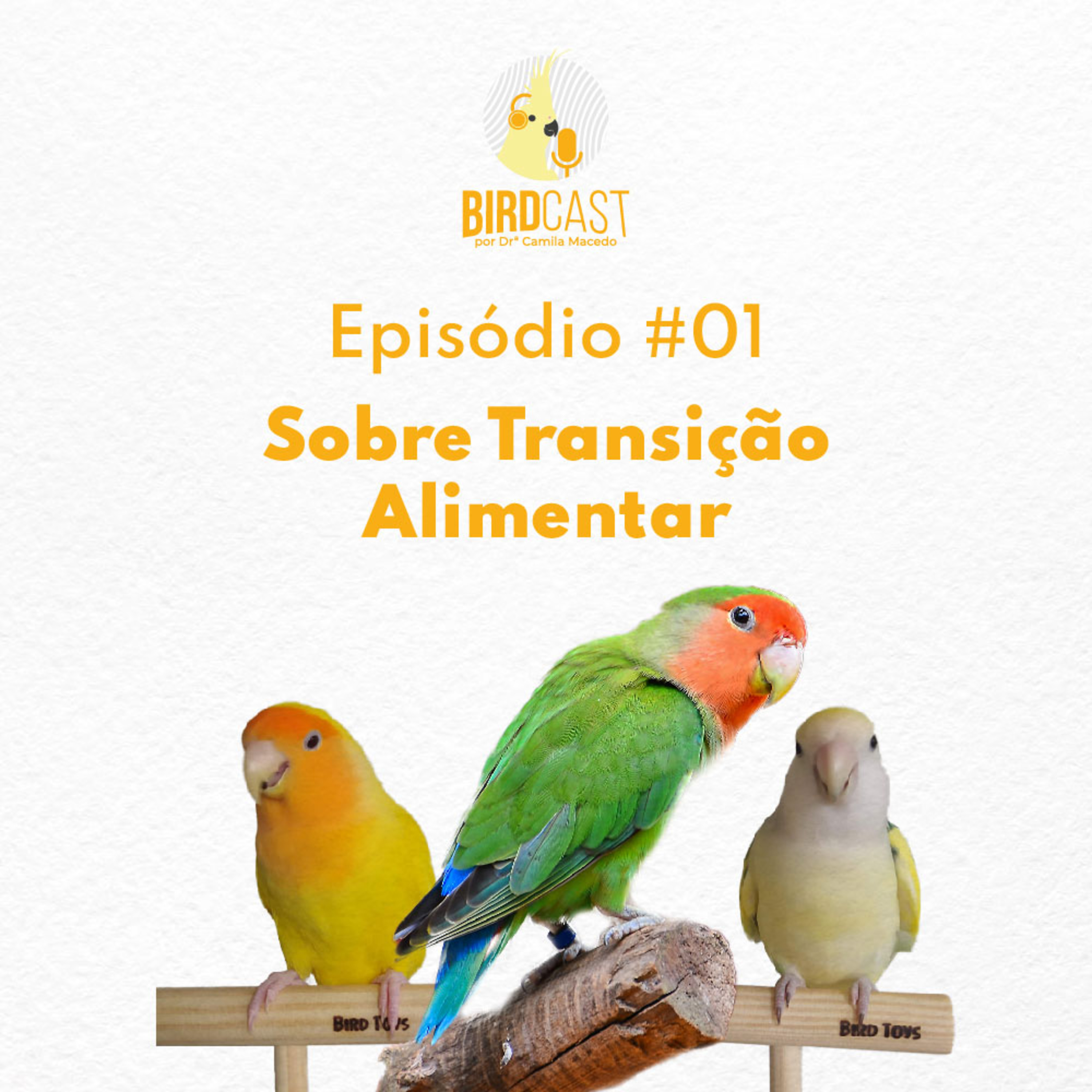BirdCast por Dra. Camila Macedo