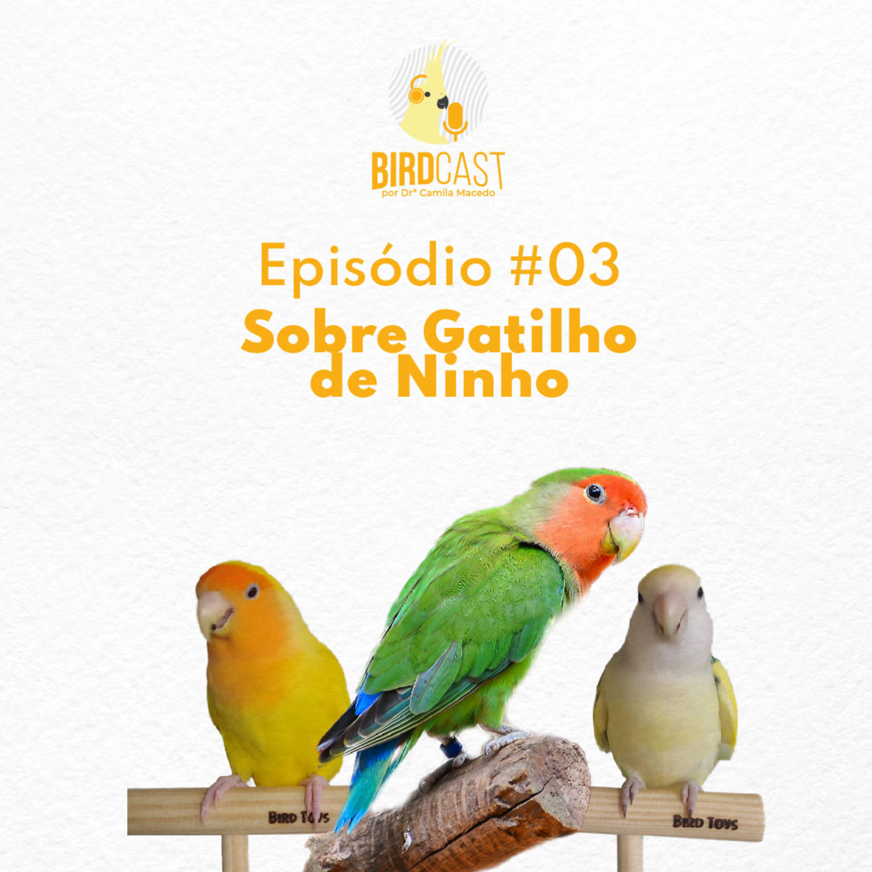 BirdCast por Dra. Camila Macedo