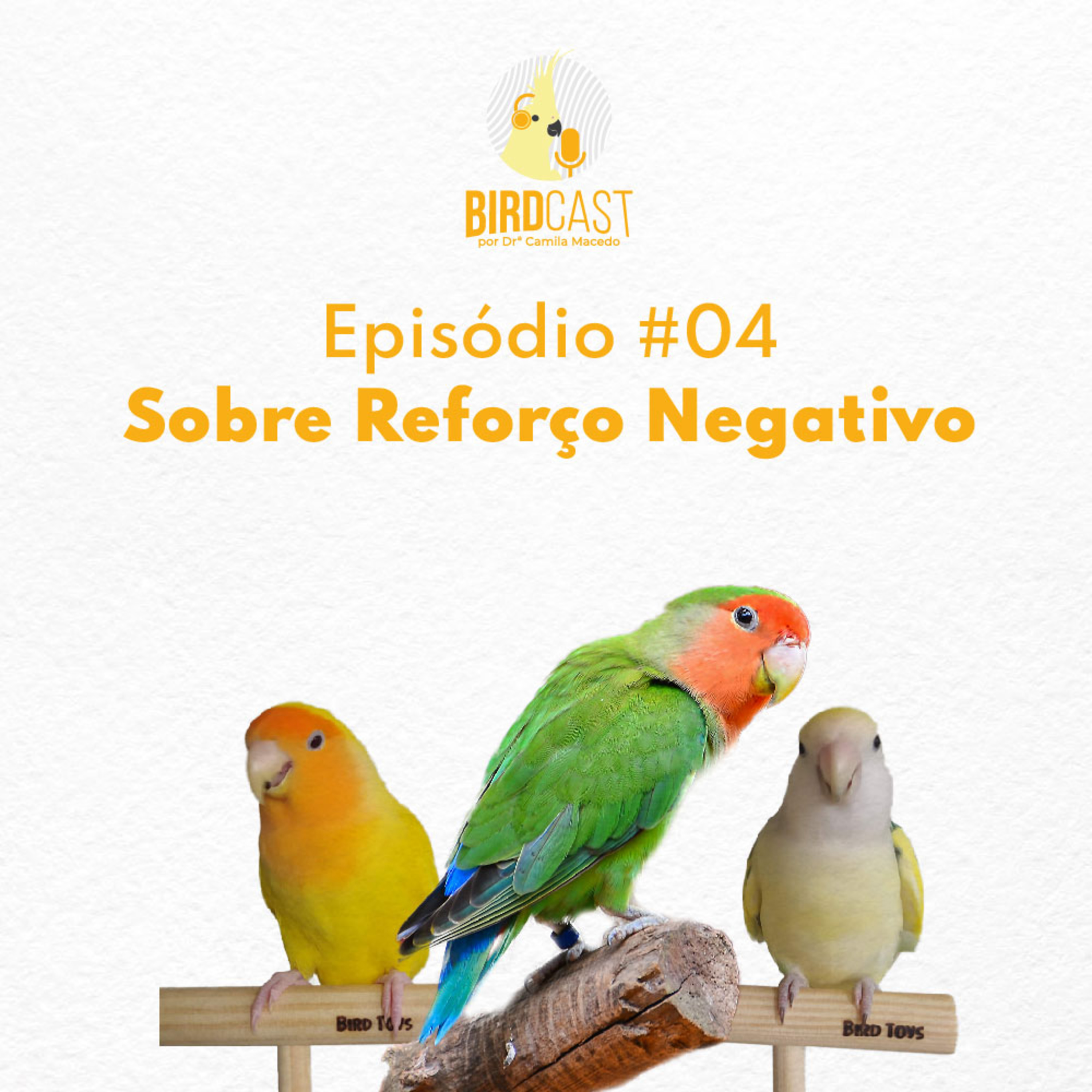 BirdCast por Dra. Camila Macedo