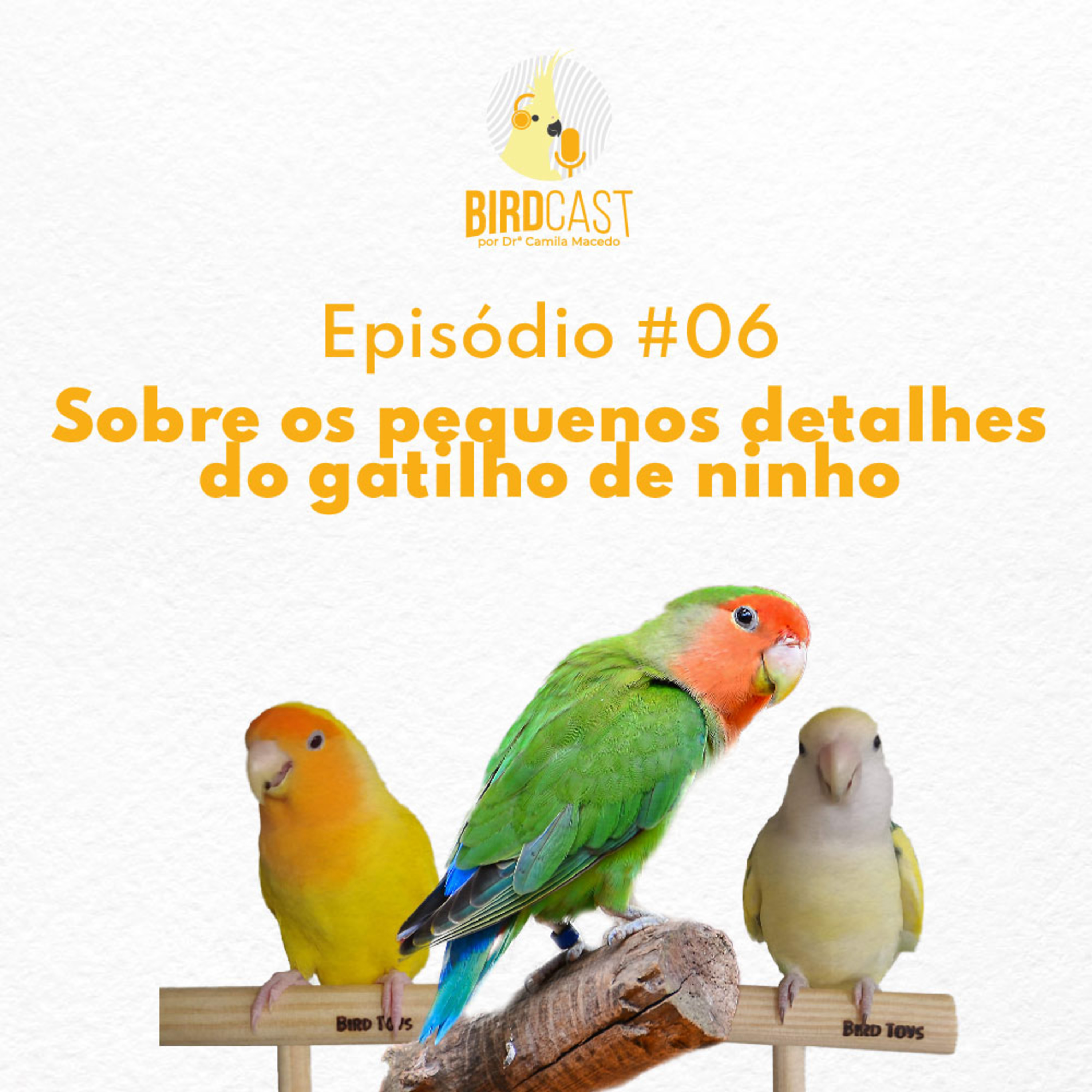 BirdCast por Dra. Camila Macedo