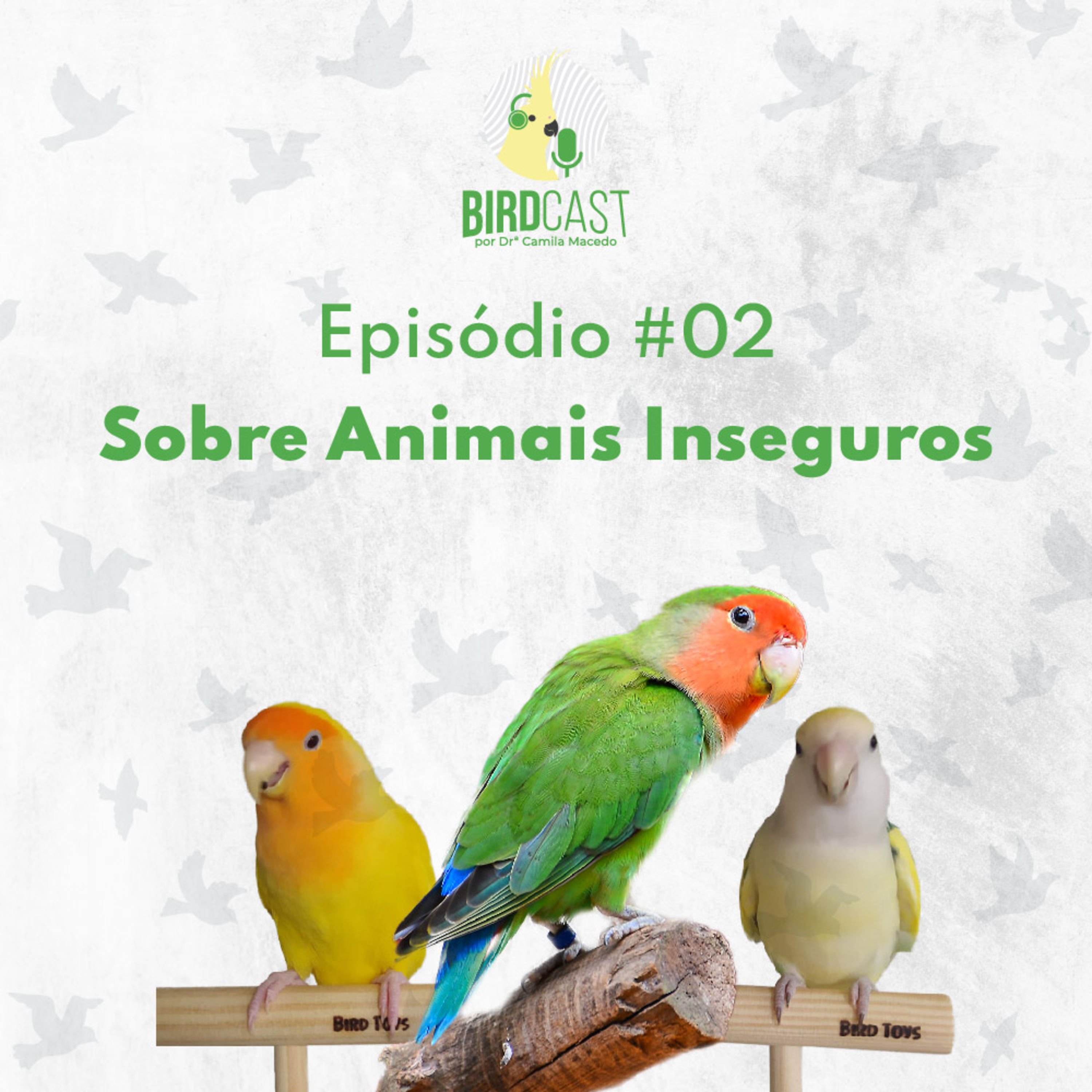BirdCast por Dra. Camila Macedo
