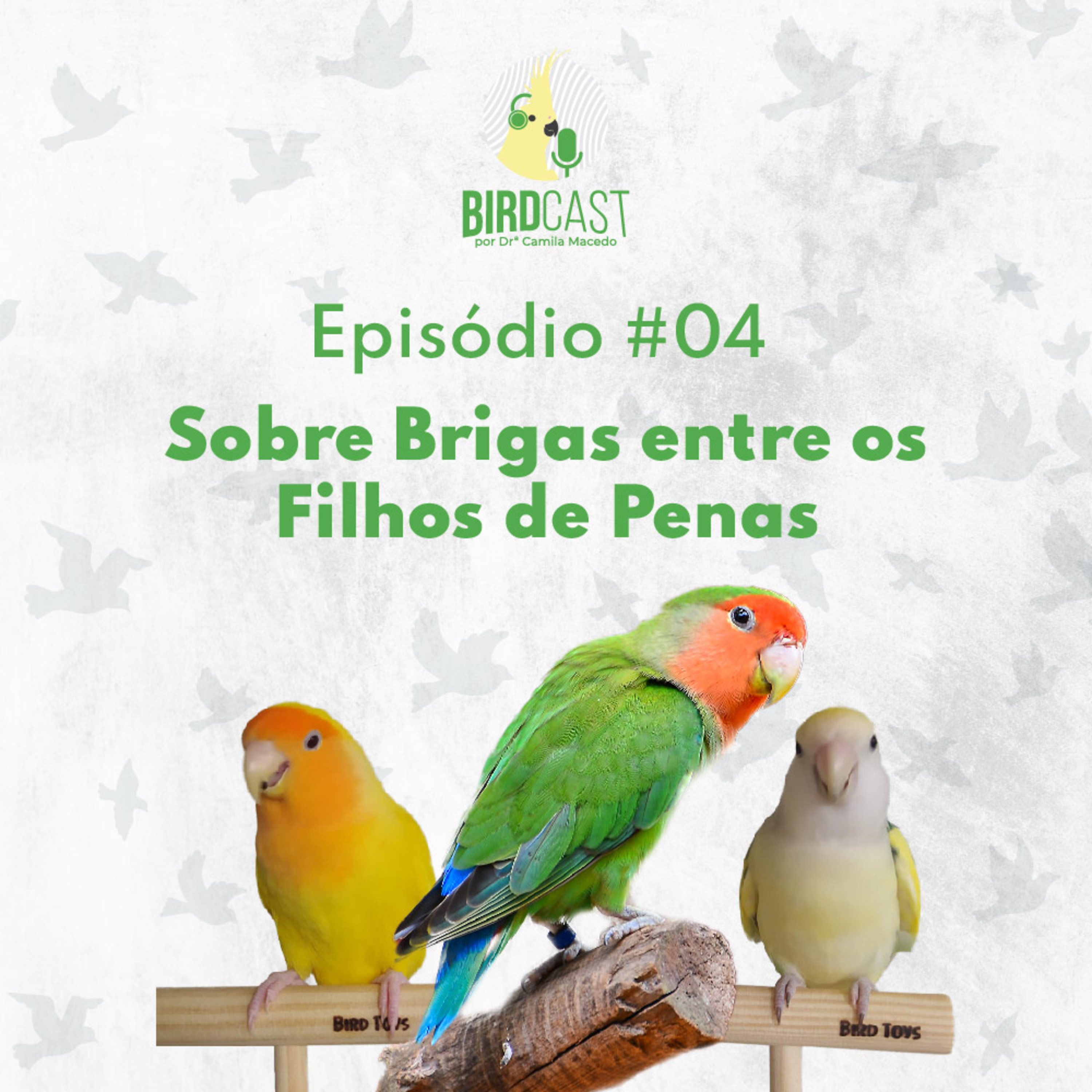 BirdCast por Dra. Camila Macedo