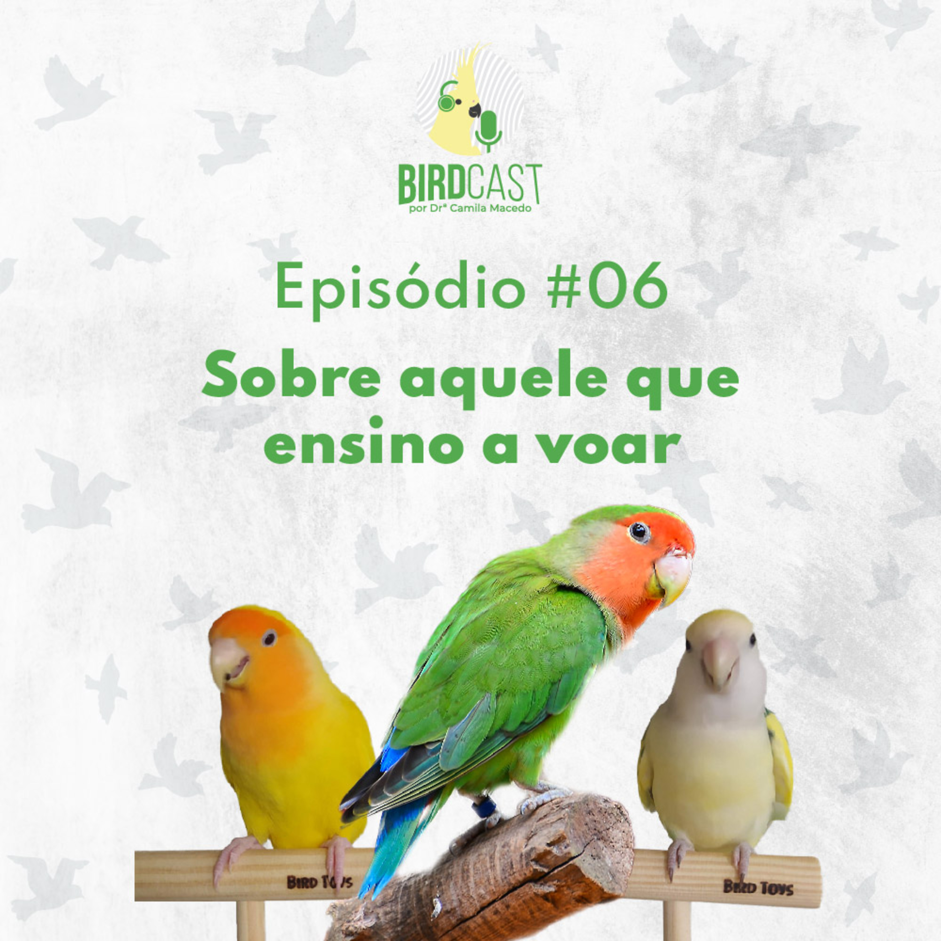 BirdCast por Dra. Camila Macedo