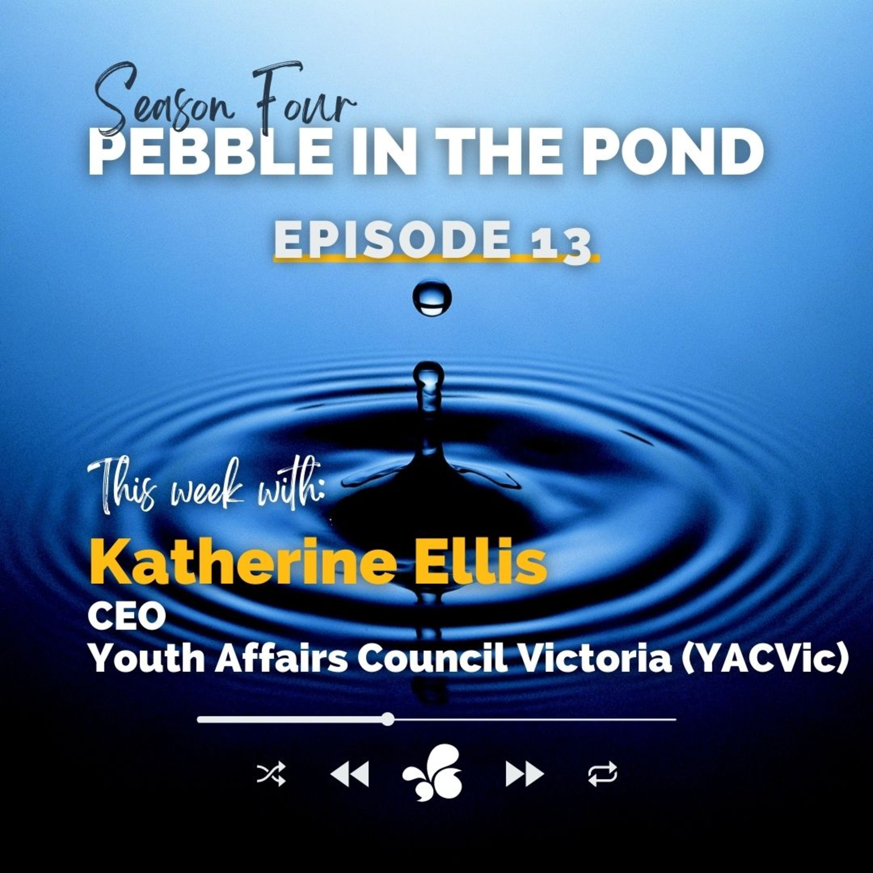 Pebble in the Pond