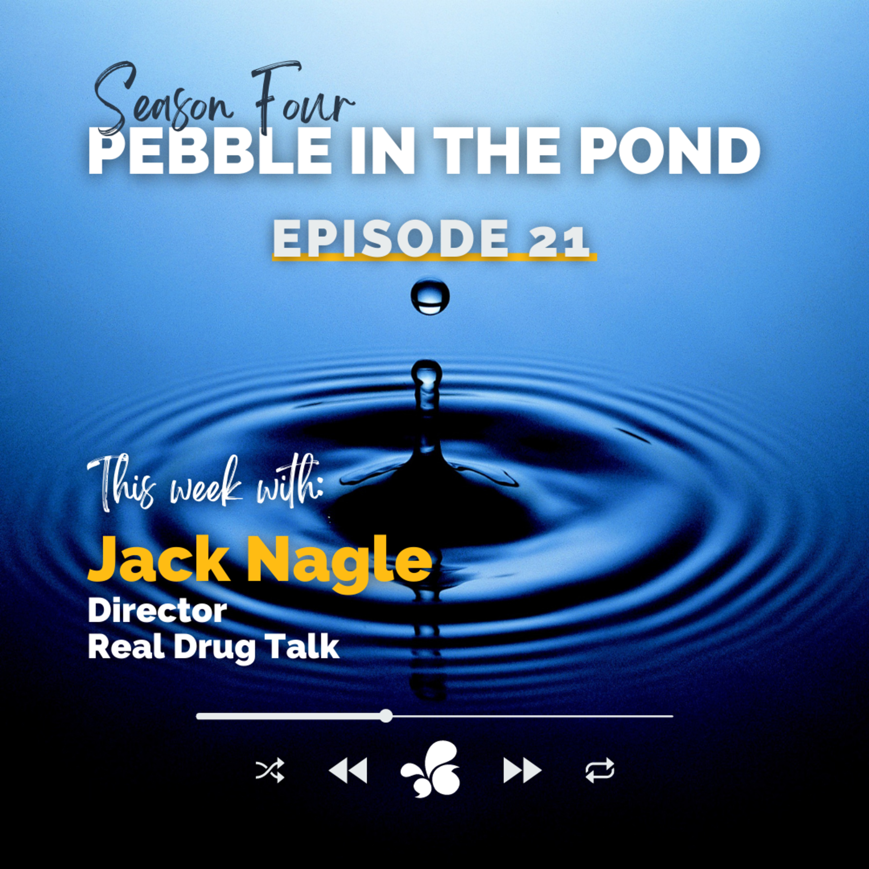 Pebble in the Pond