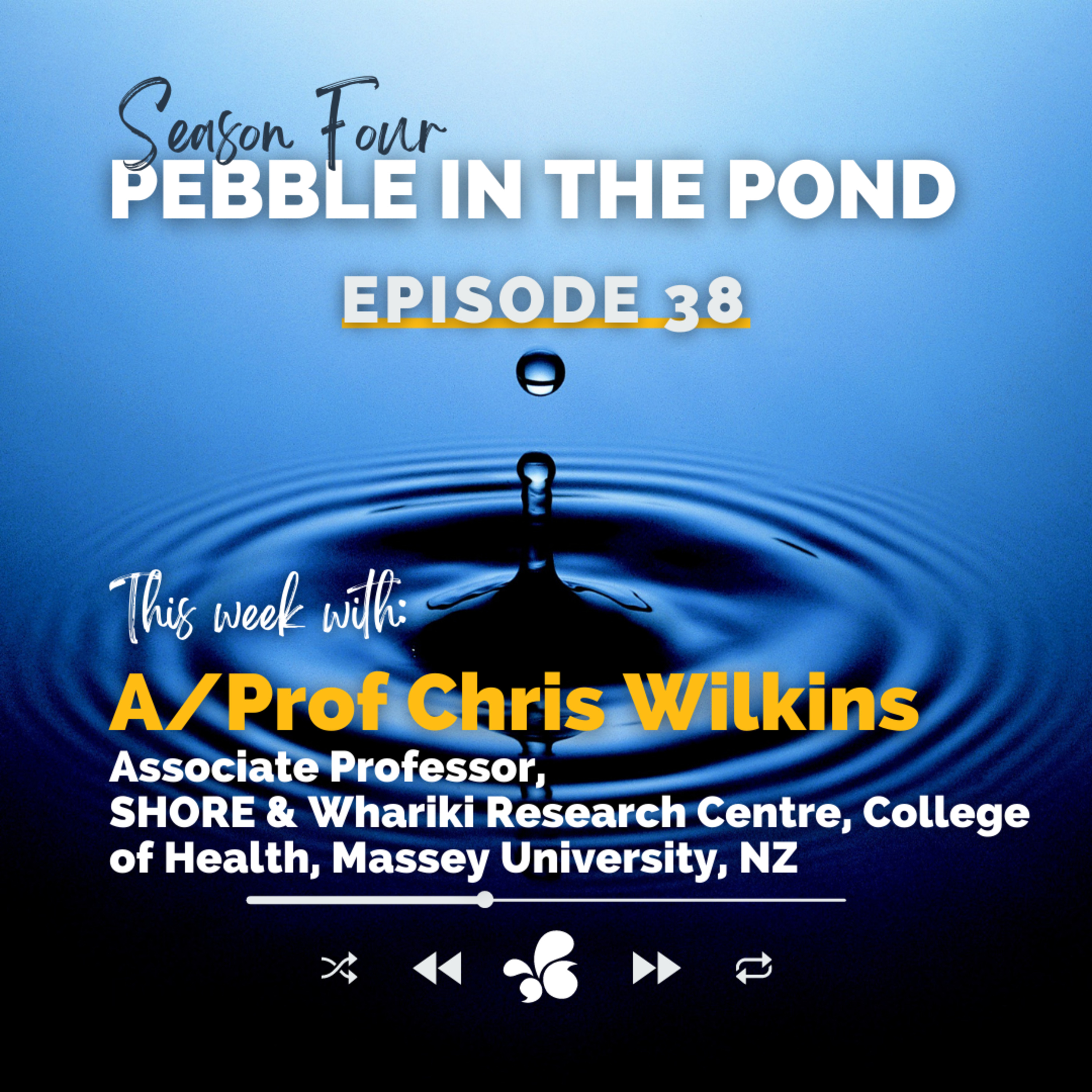 Pebble in the Pond