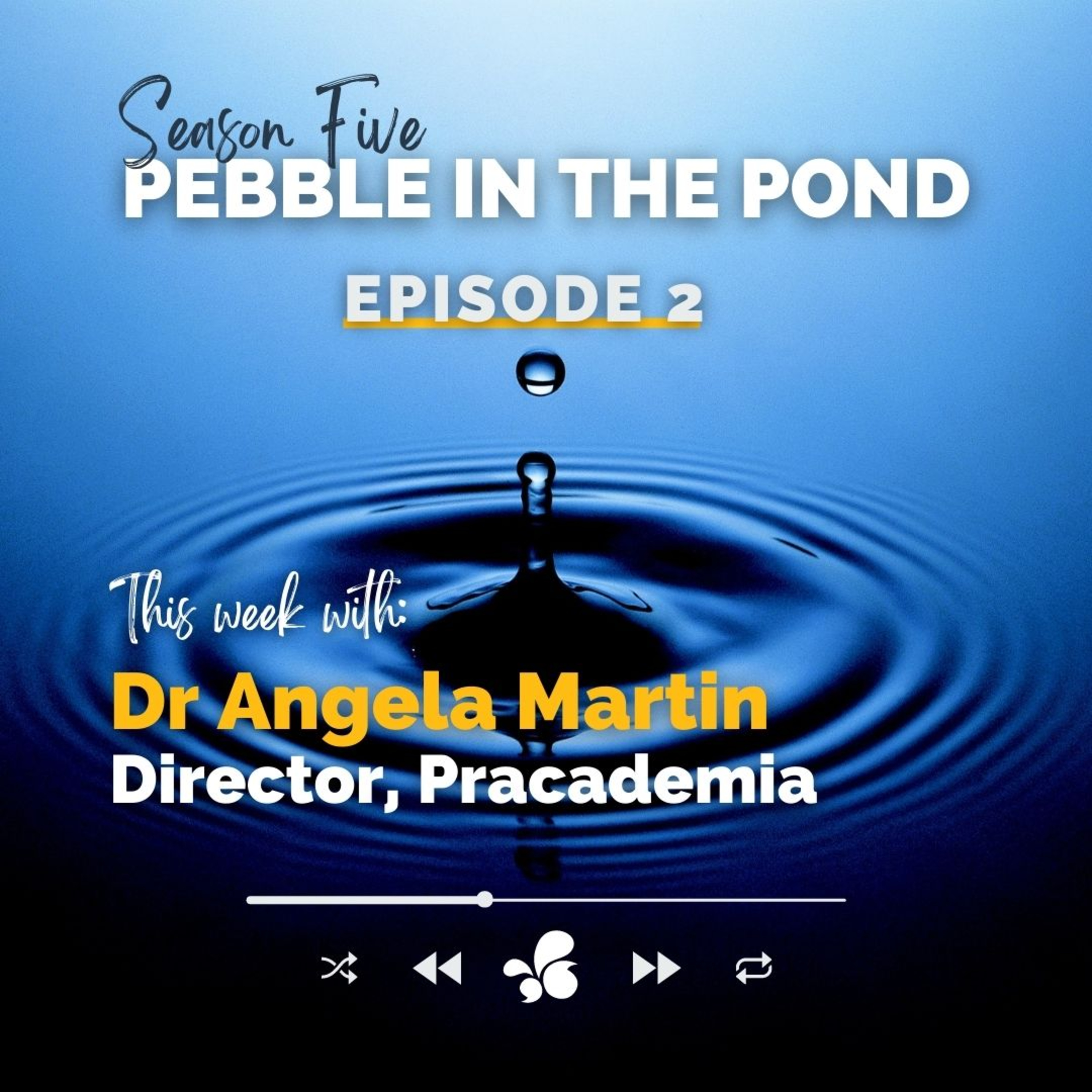 Pebble in the Pond