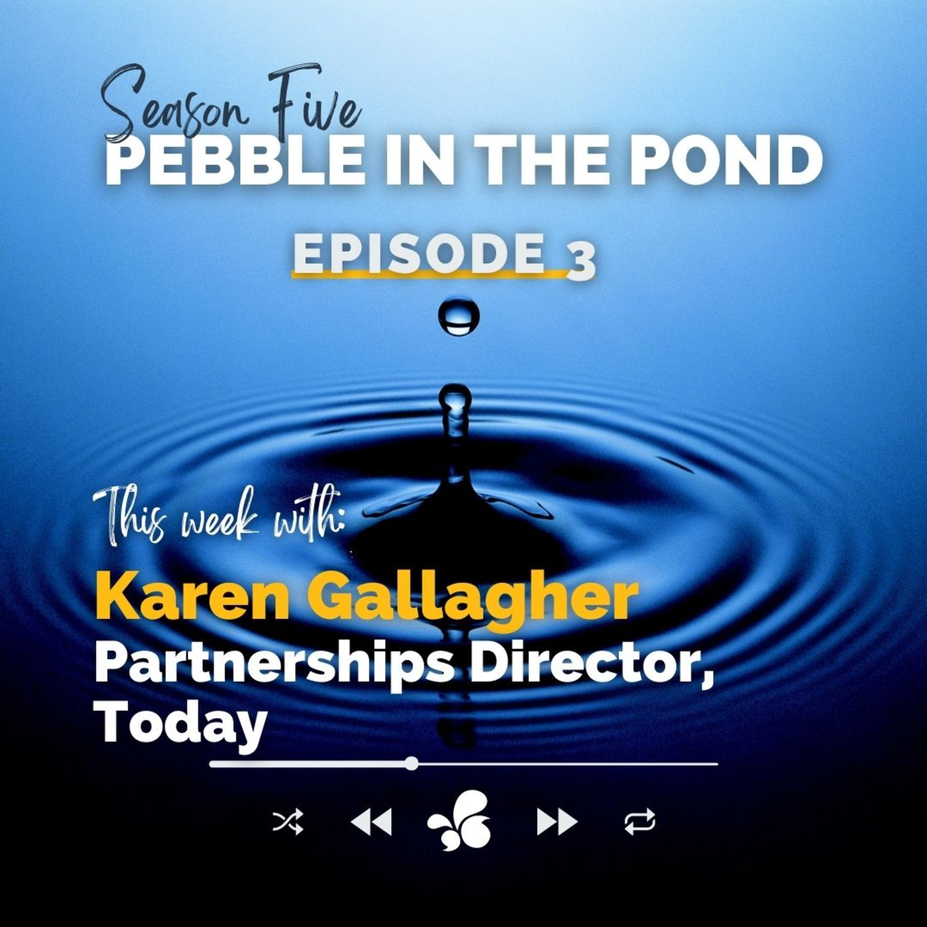 Pebble in the Pond