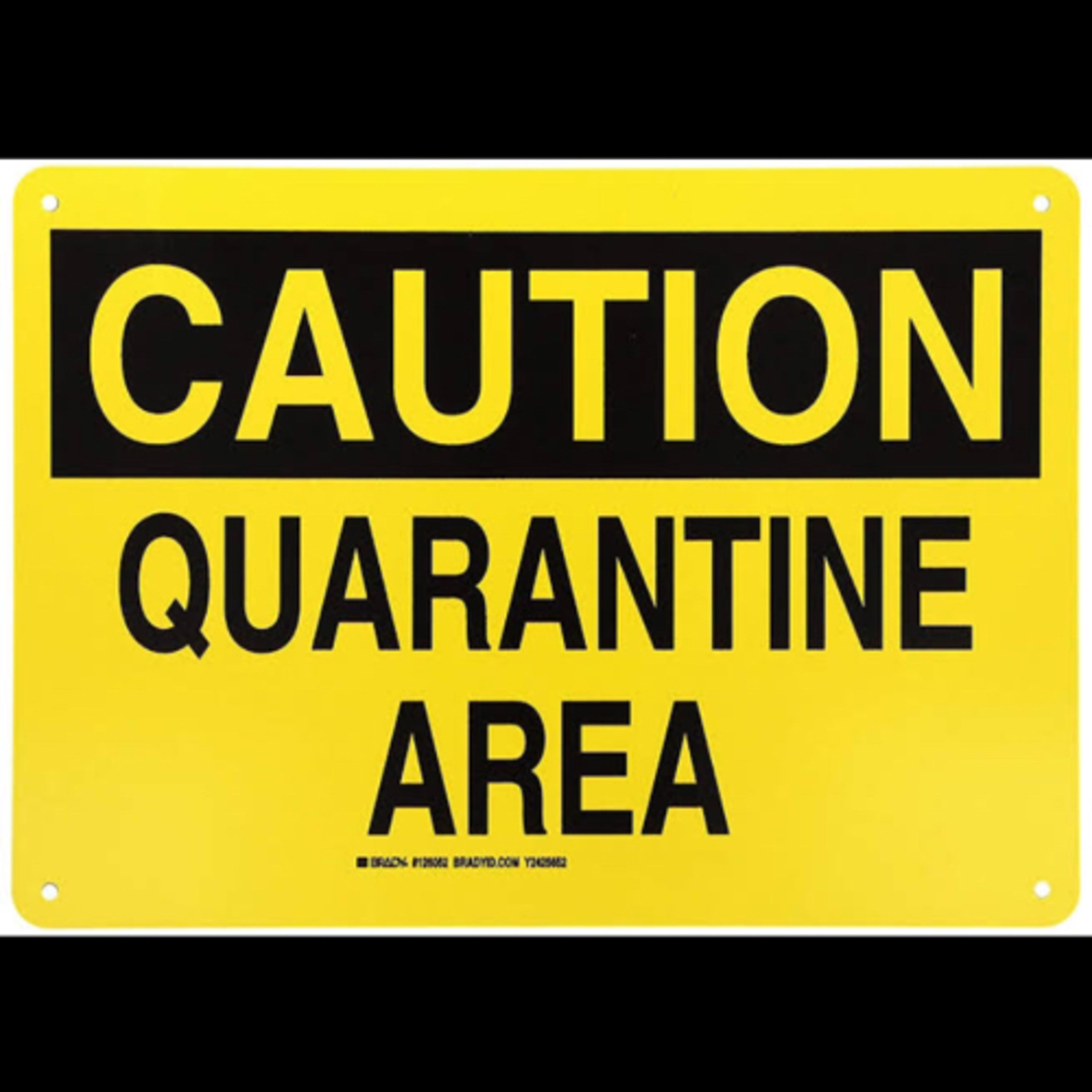Day 41637 of Quarantine