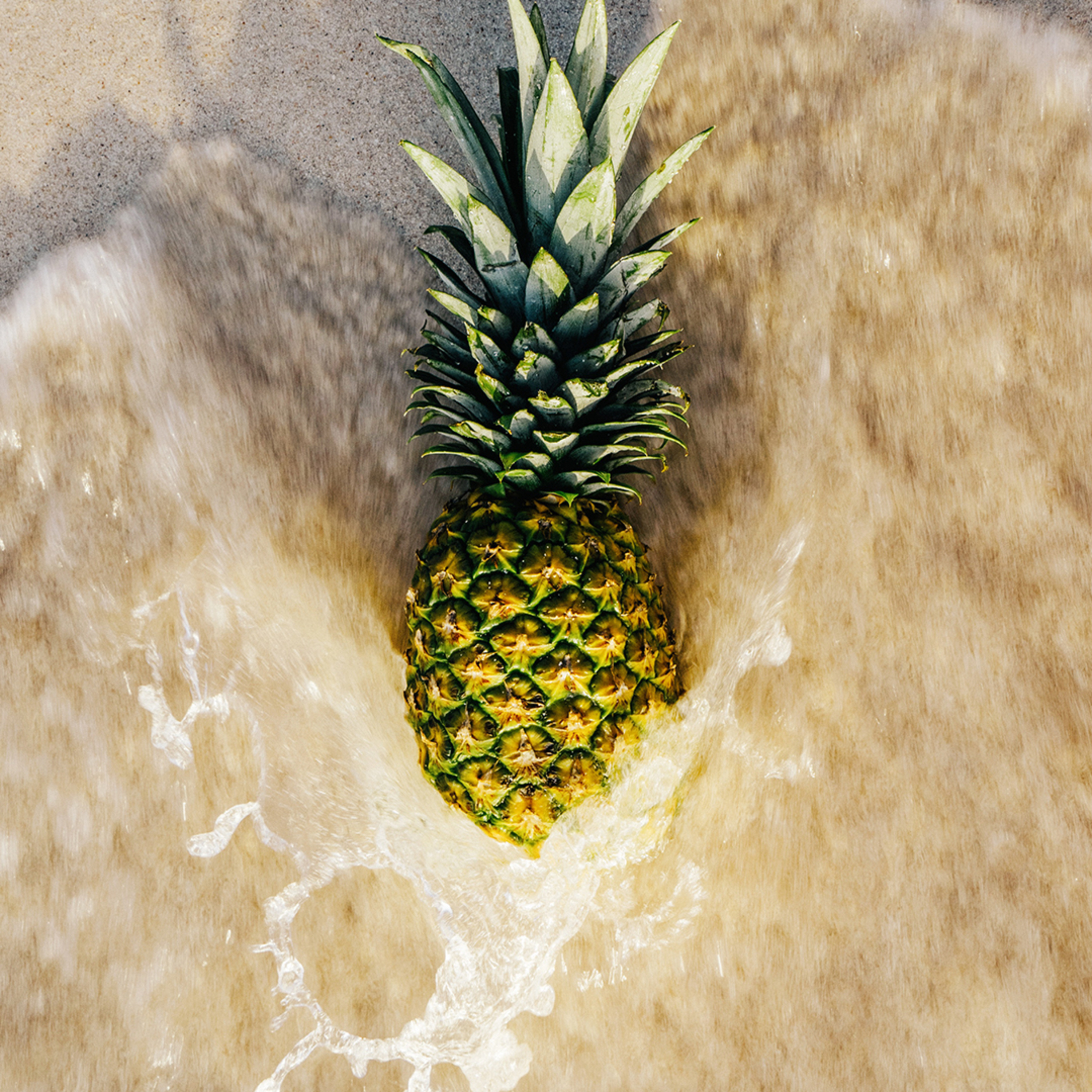 Fertility Talk Friday Fertility Talk Friday