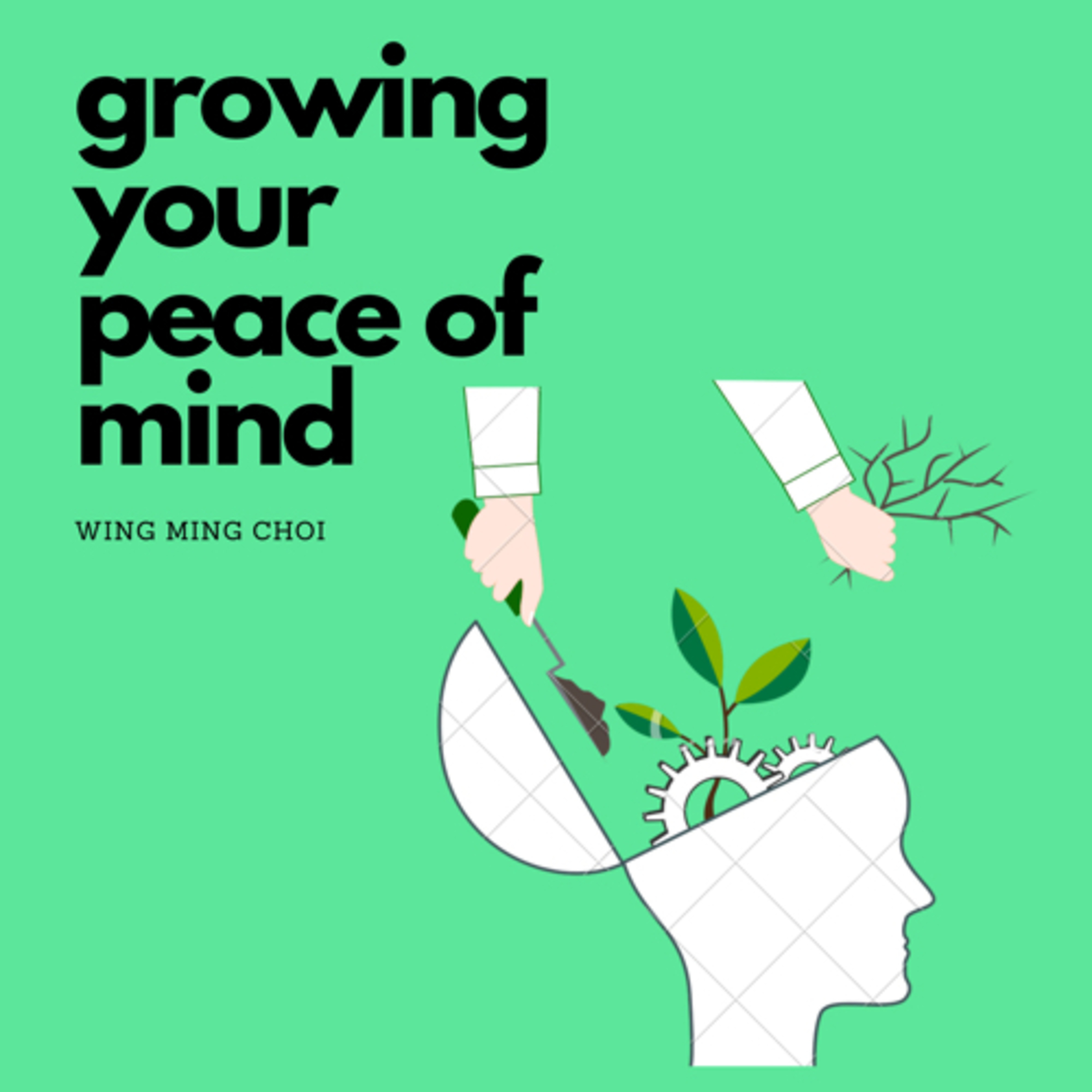 Growing Your Peace of Mind