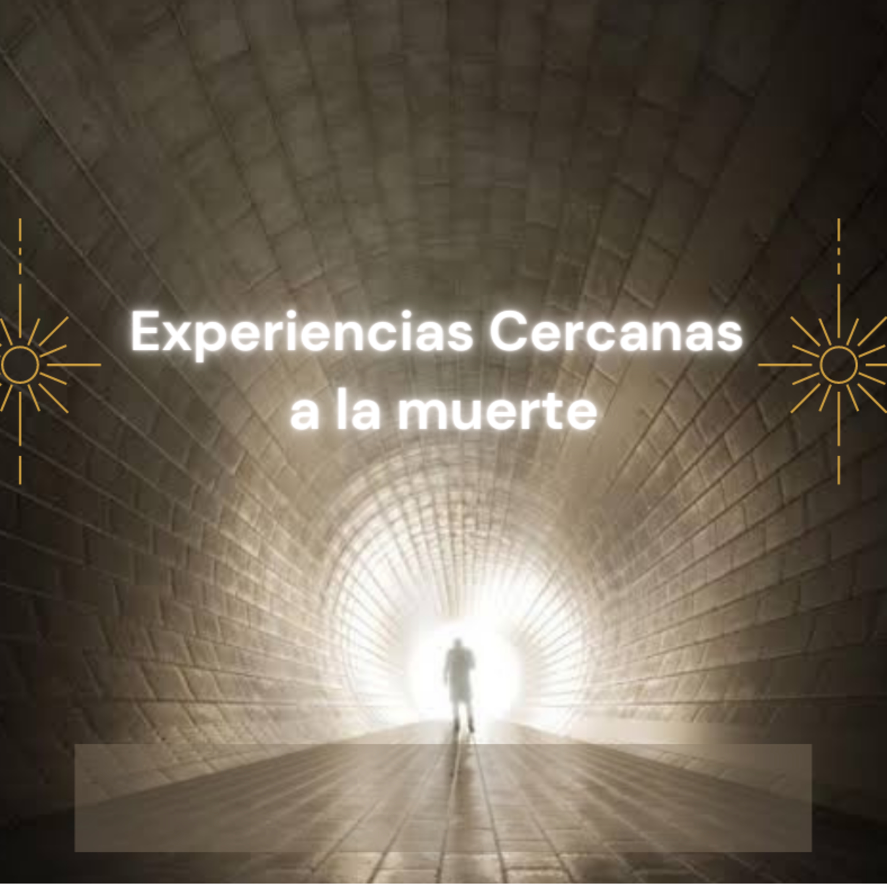 D´Mente y Corazón Holístico