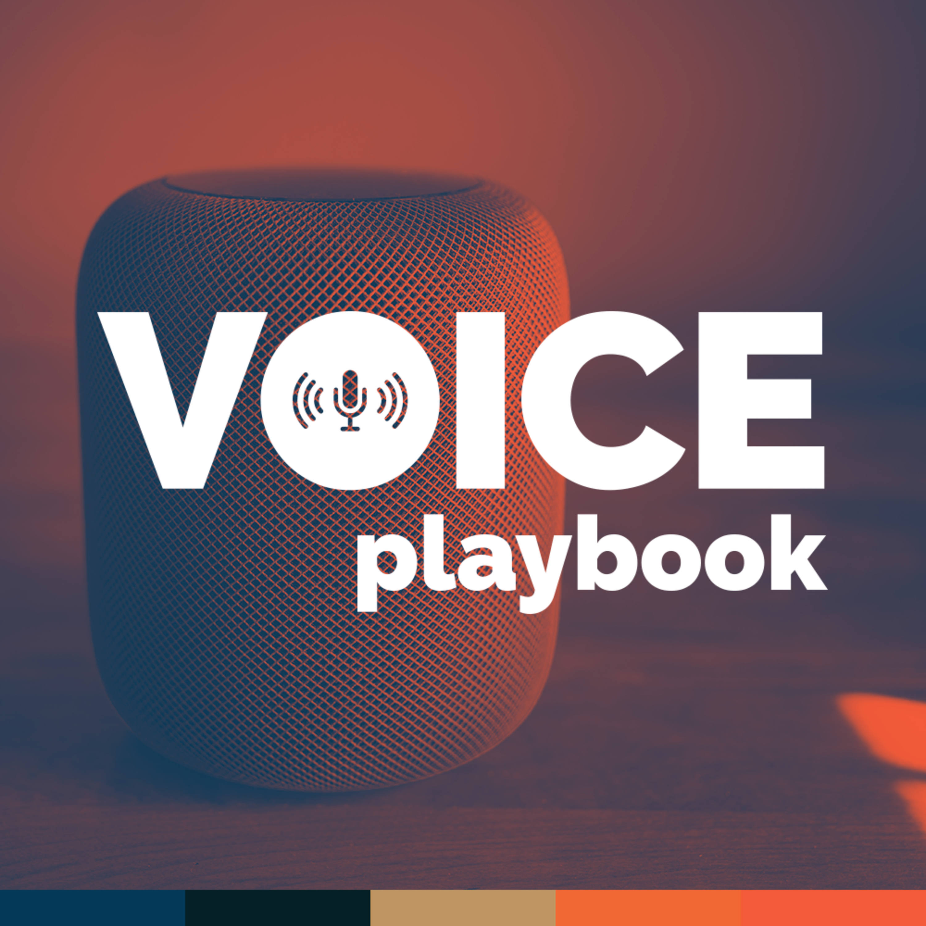 Voice Playbook #24 | Tecnologia sem fricções episode artwork
